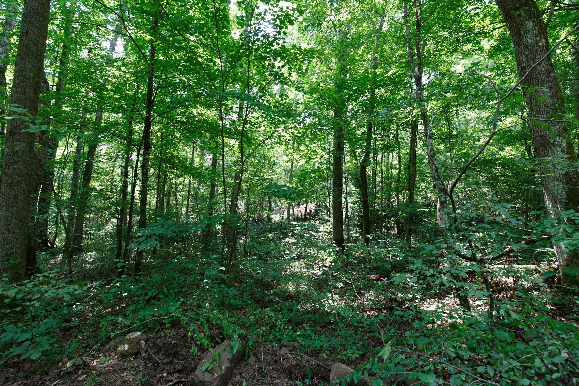 Rolling Hills Tract 7 photo 10