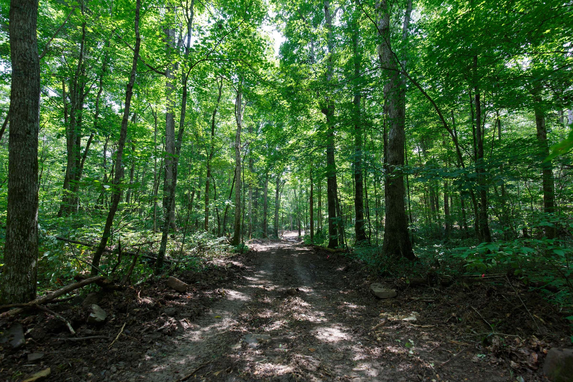 Rolling Hills Tract 7 photo 7