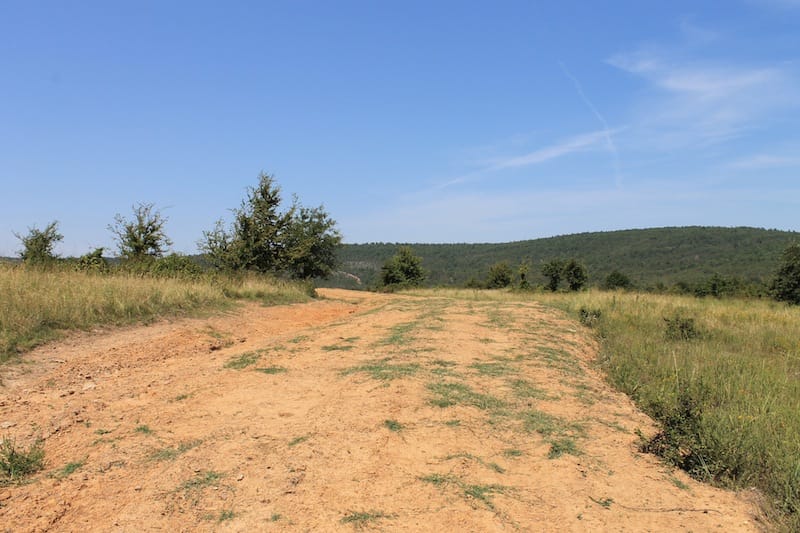 Daisy Meadows Tract 34 photo 1