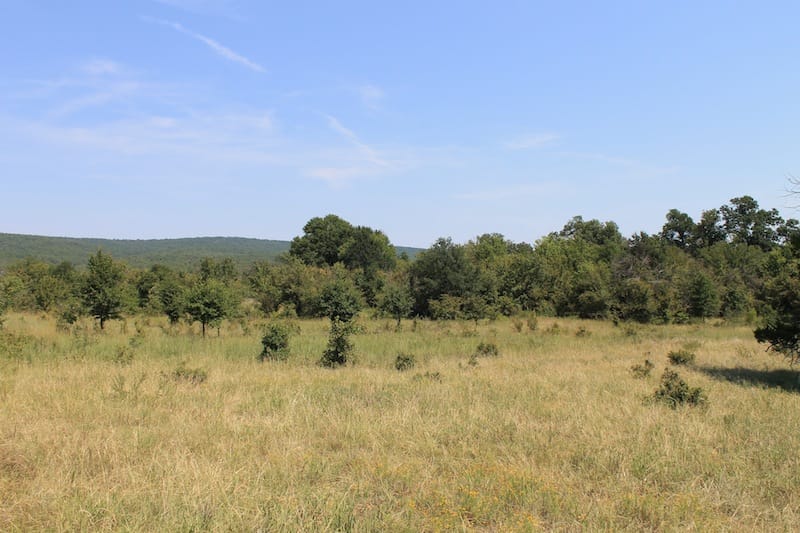 Daisy Meadows Tract 34 photo 8
