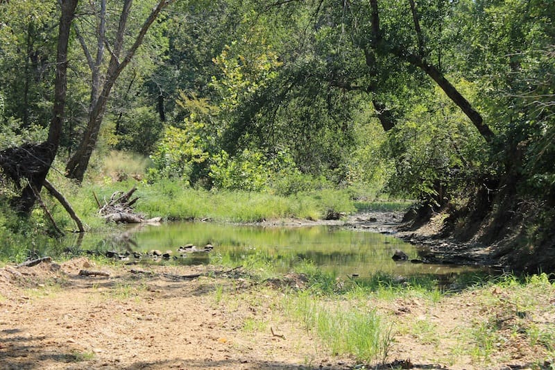 Daisy Meadows Tract 34 photo 2