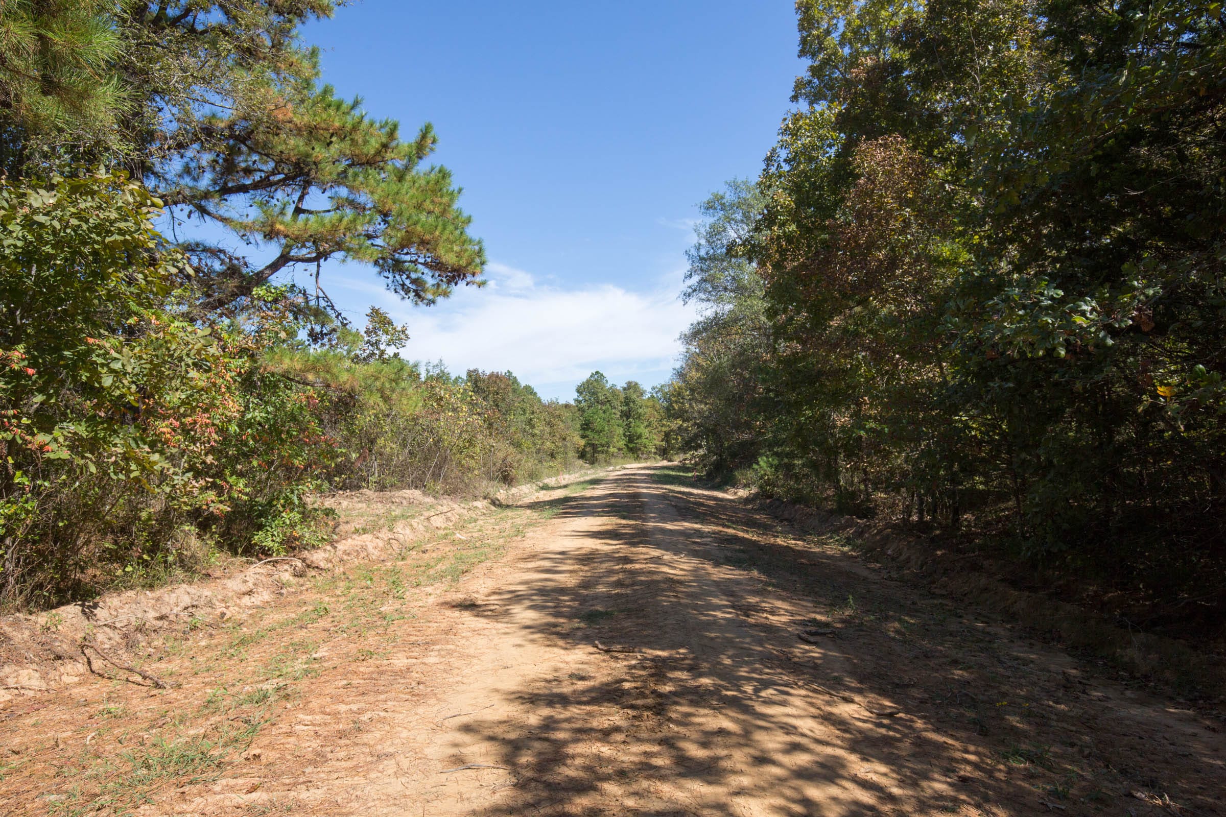 Stone Bridge Phase I Tract 26 photo 8