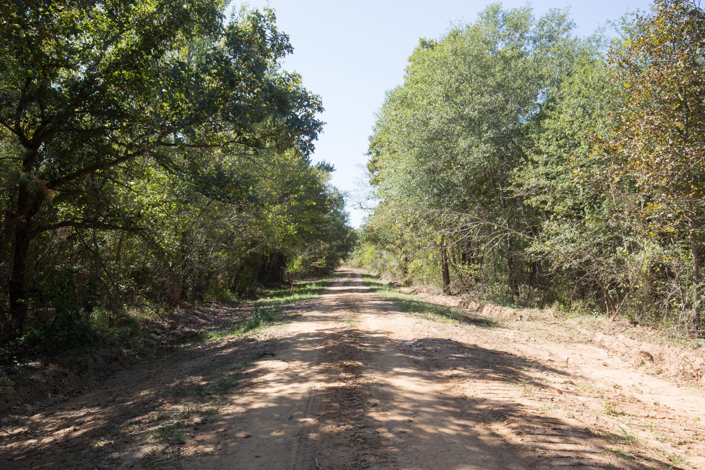 Stone Bridge Phase I Tract 26 photo 5