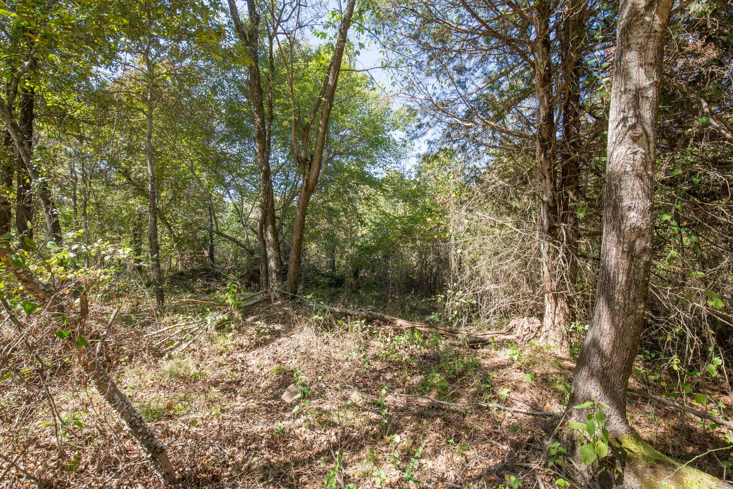 Stone Bridge Phase I Tract 26 photo 7