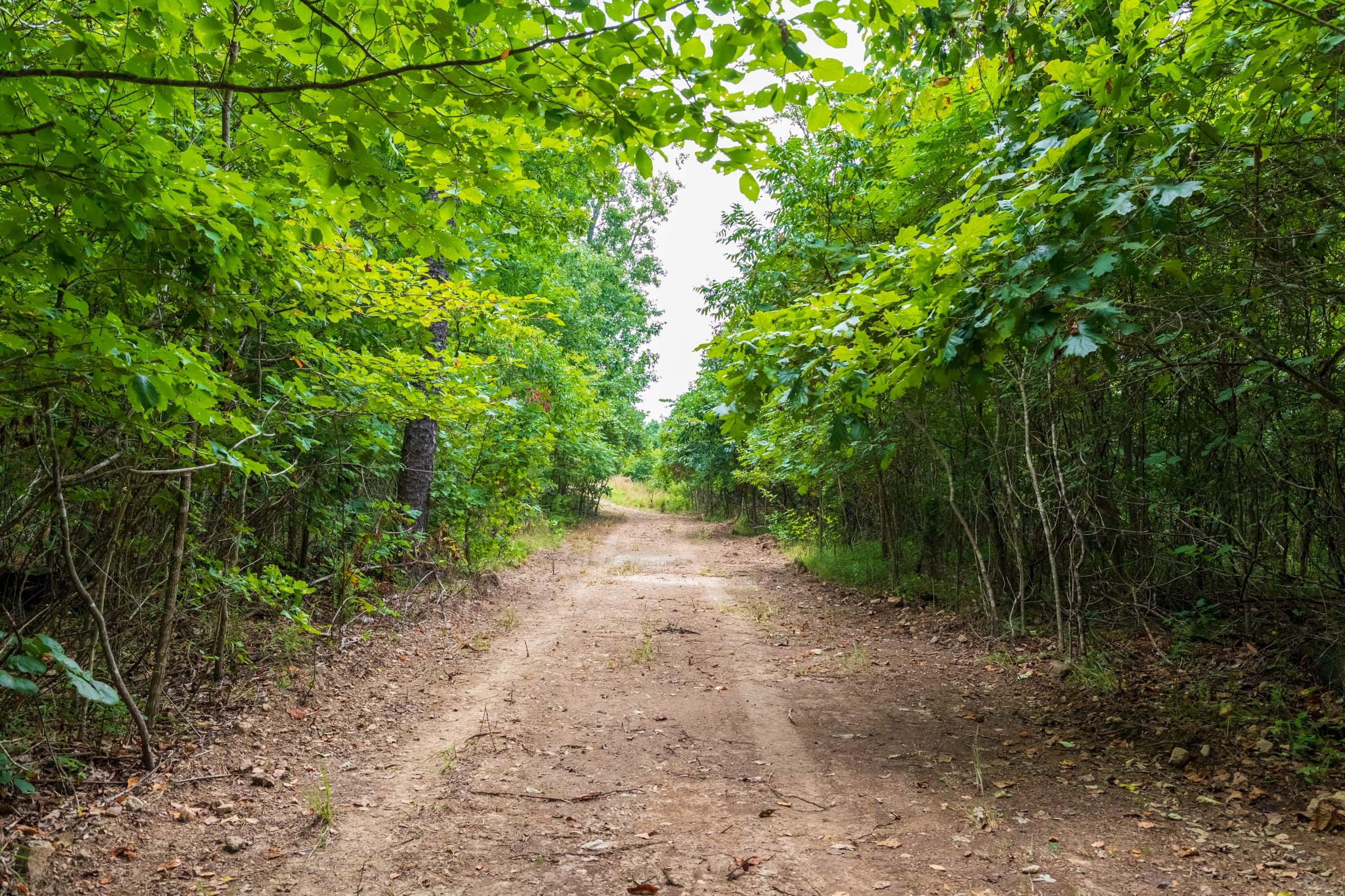 Cypress Ridge Tract 26 photo 1