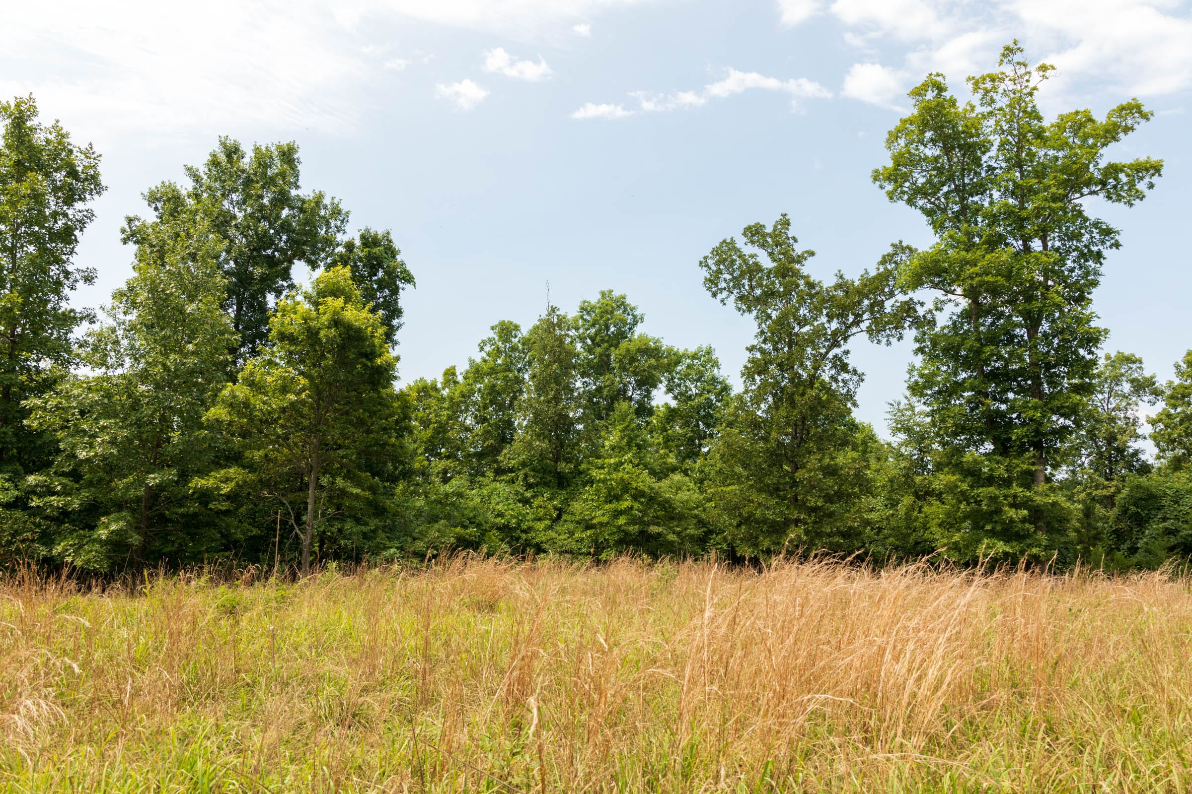 Cypress Ridge Tract 26 photo 10