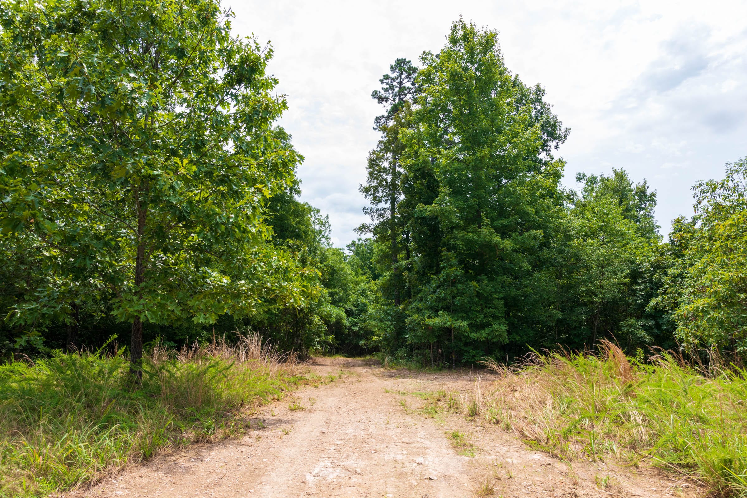 Cypress Ridge Tract 26 photo 6