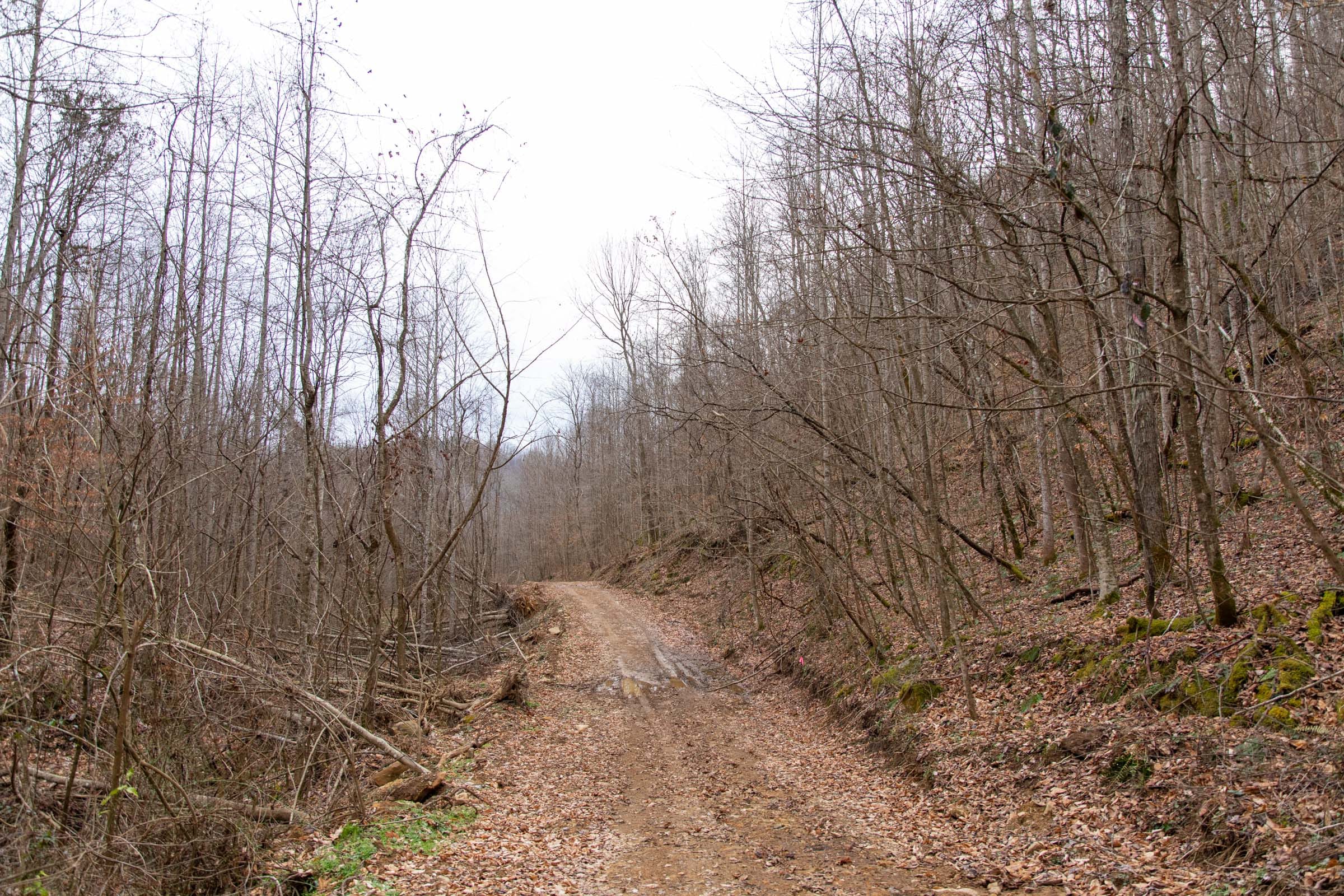 Blackstone Mountain Phase I Tract 45 photo 1