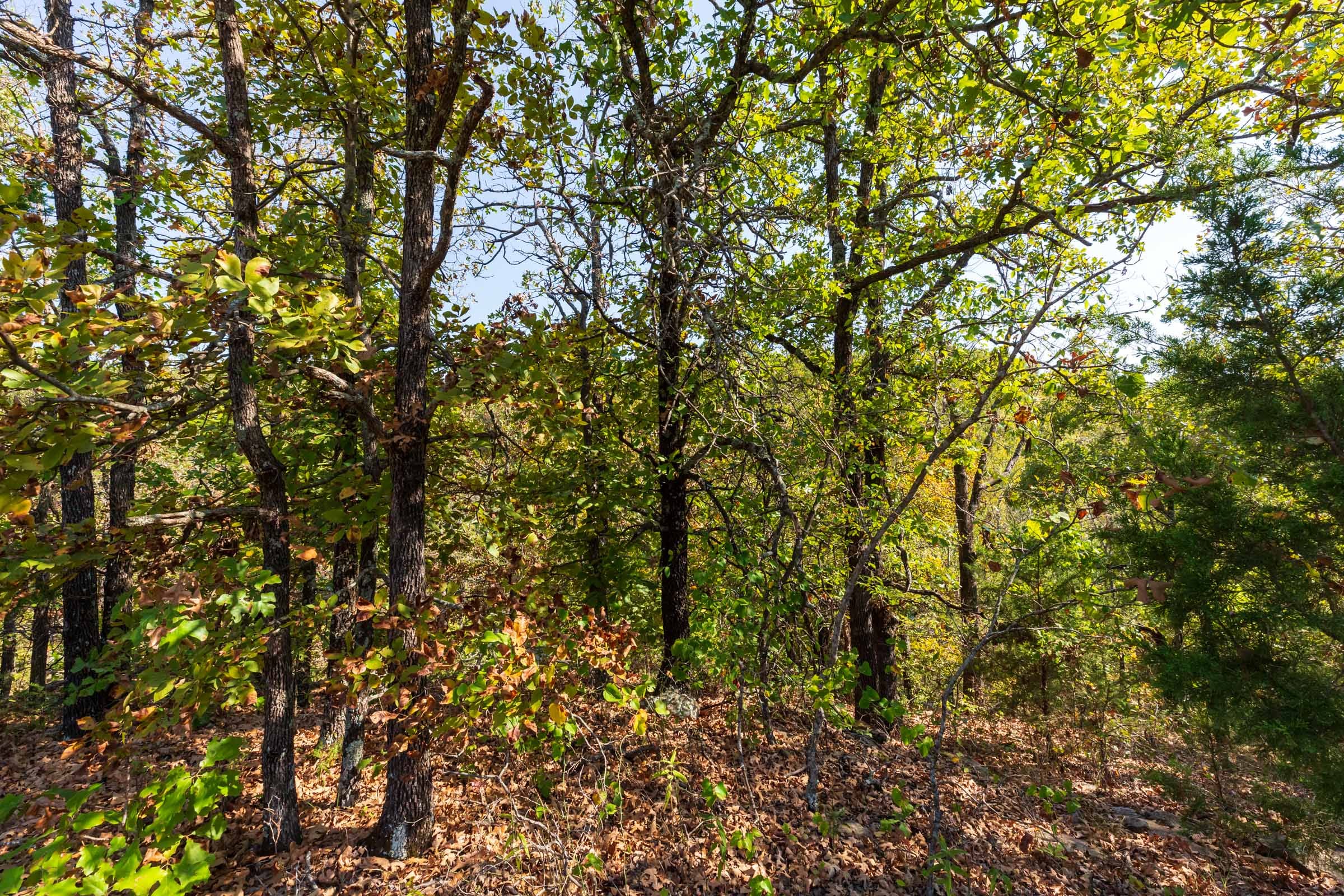 Canyon Creek Tract 24 photo 3