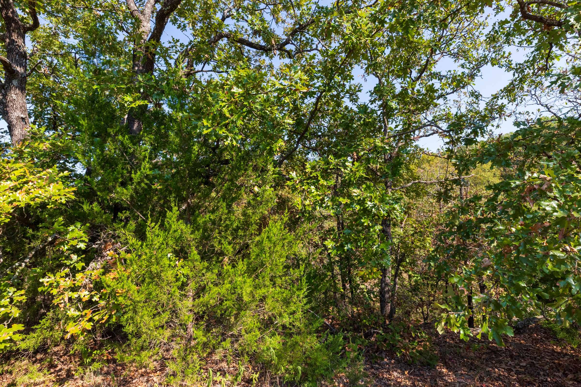 Canyon Creek Tract 24 photo 5