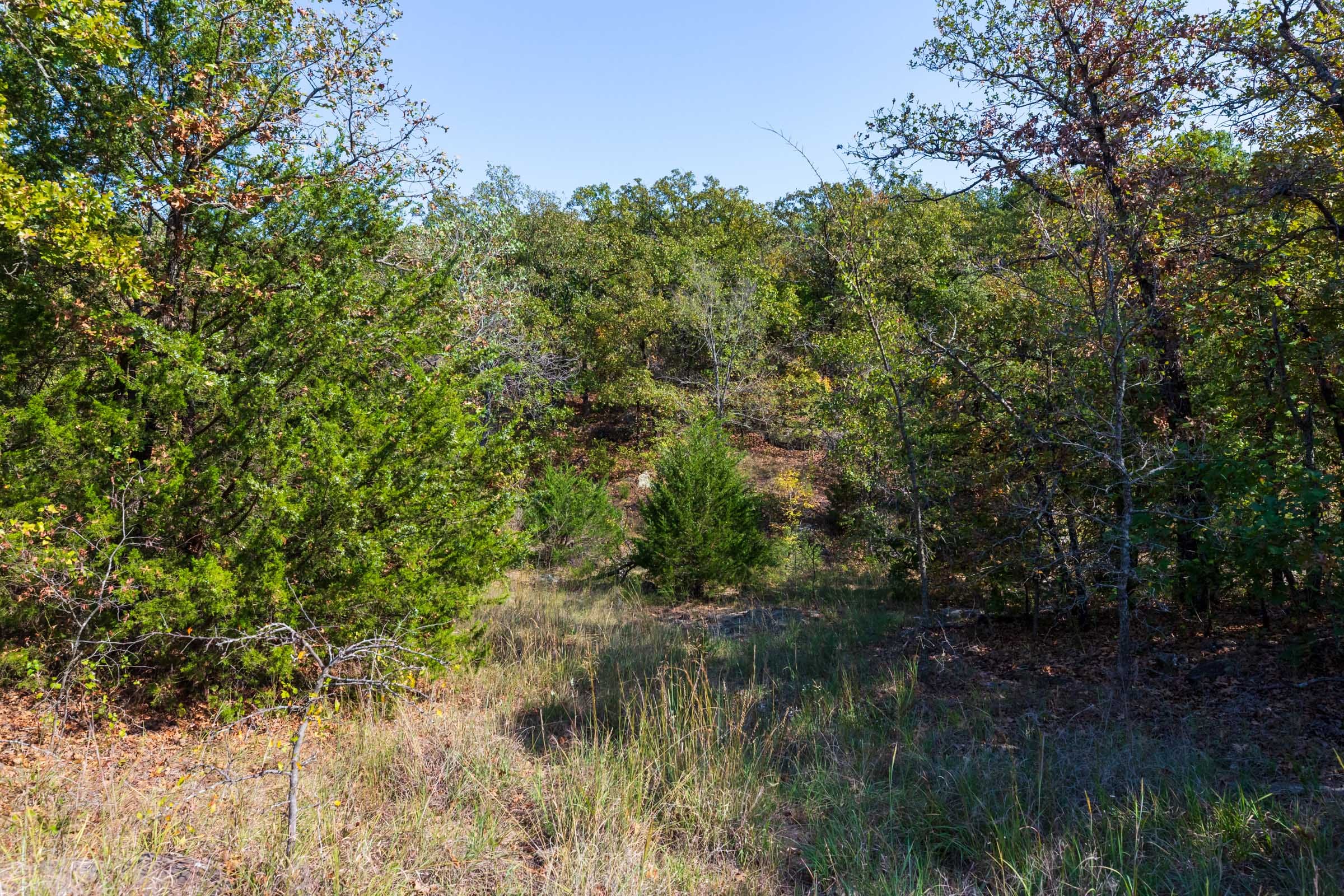 Canyon Creek Tract 24 photo 6