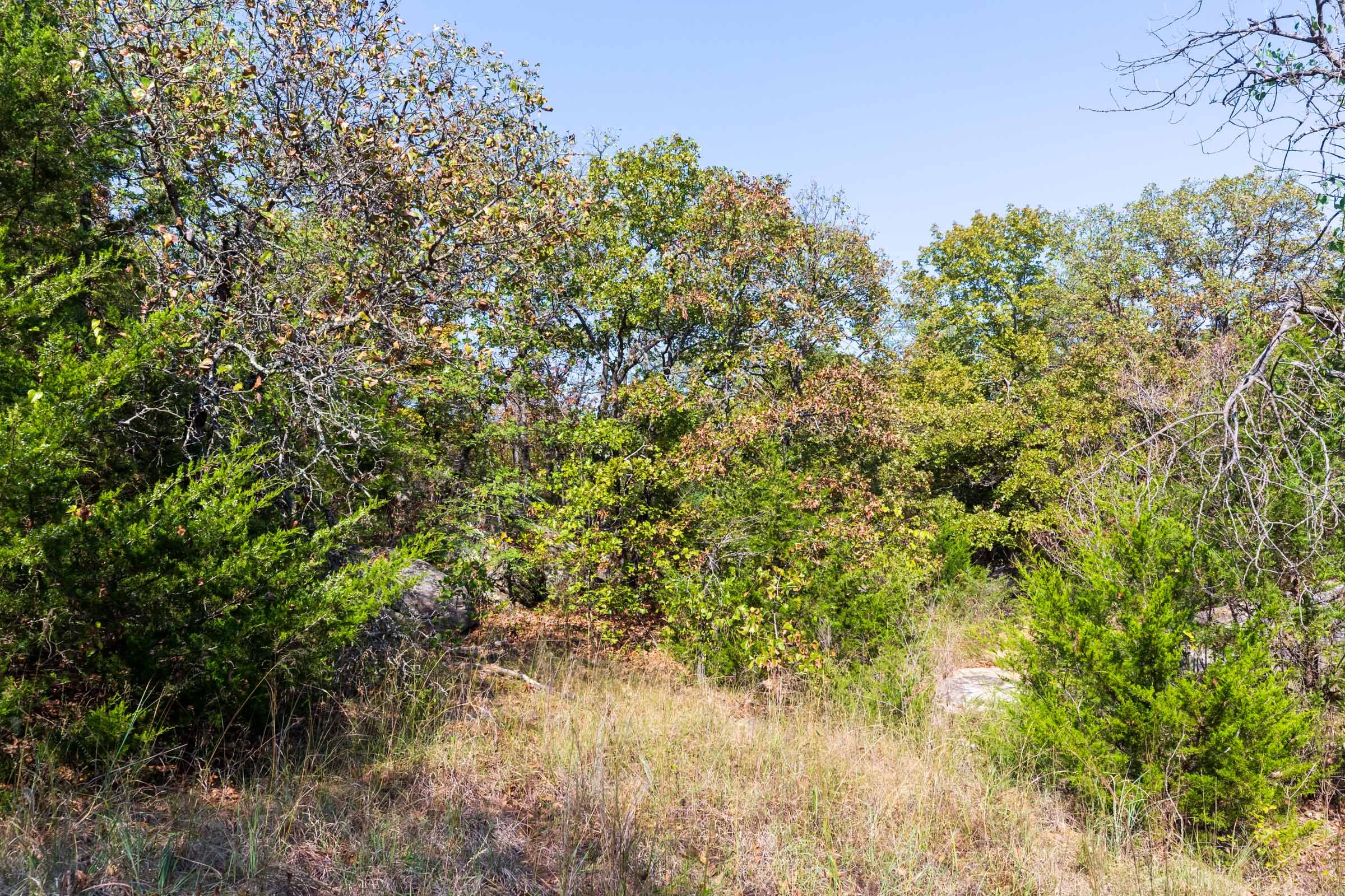 Canyon Creek Tract 24 photo 8