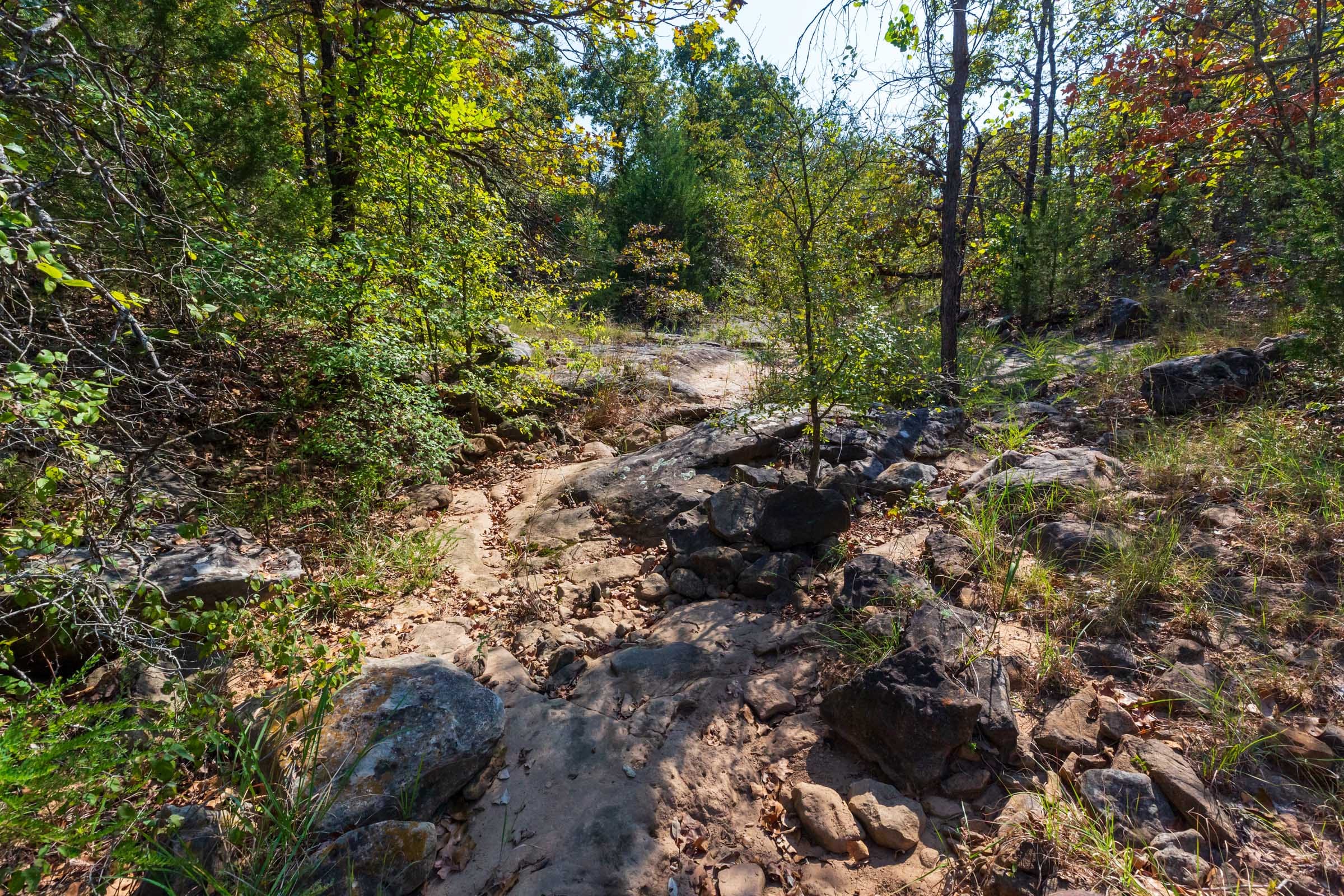 Canyon Creek Tract 24 photo 2