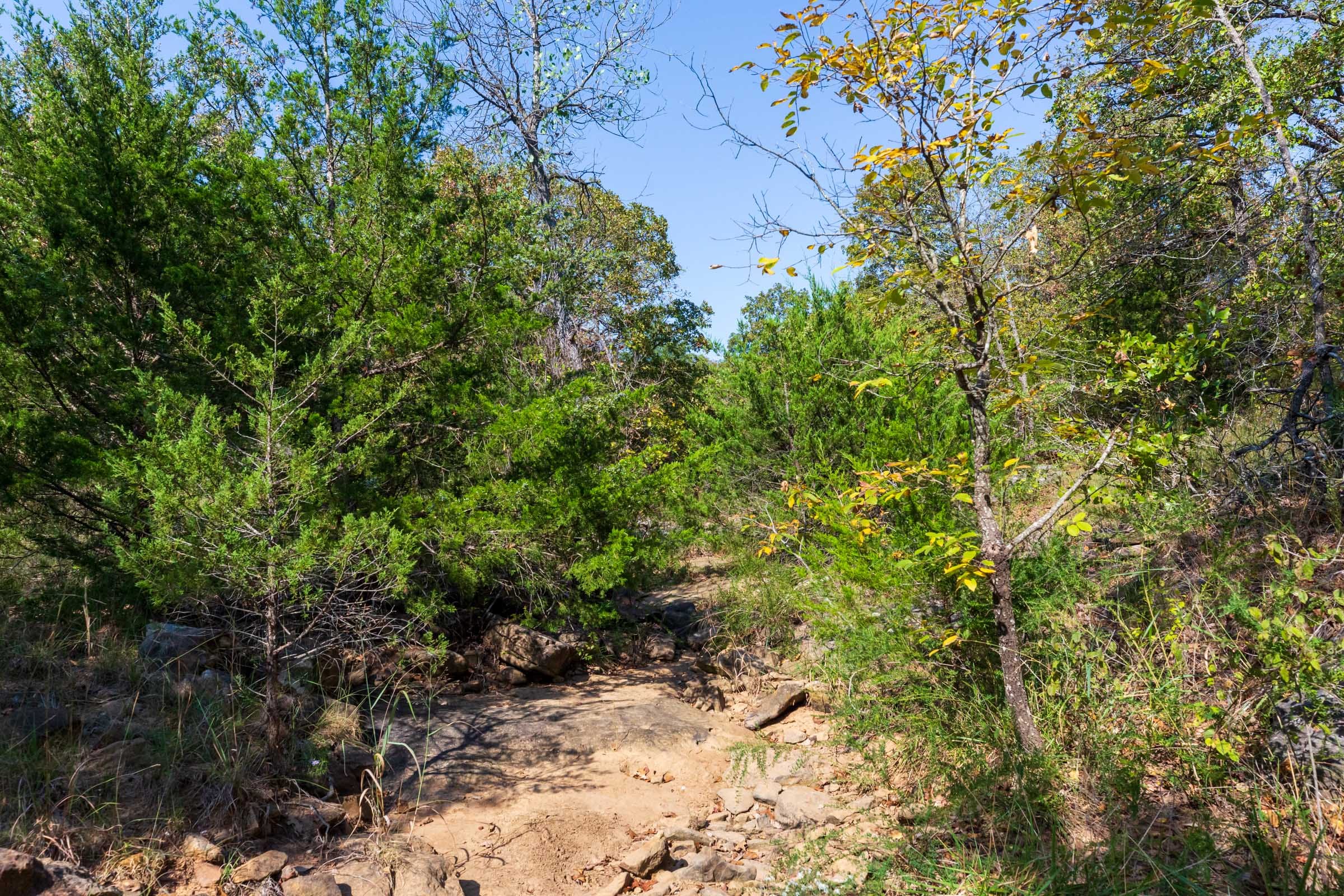 Canyon Creek Tract 24 photo 4