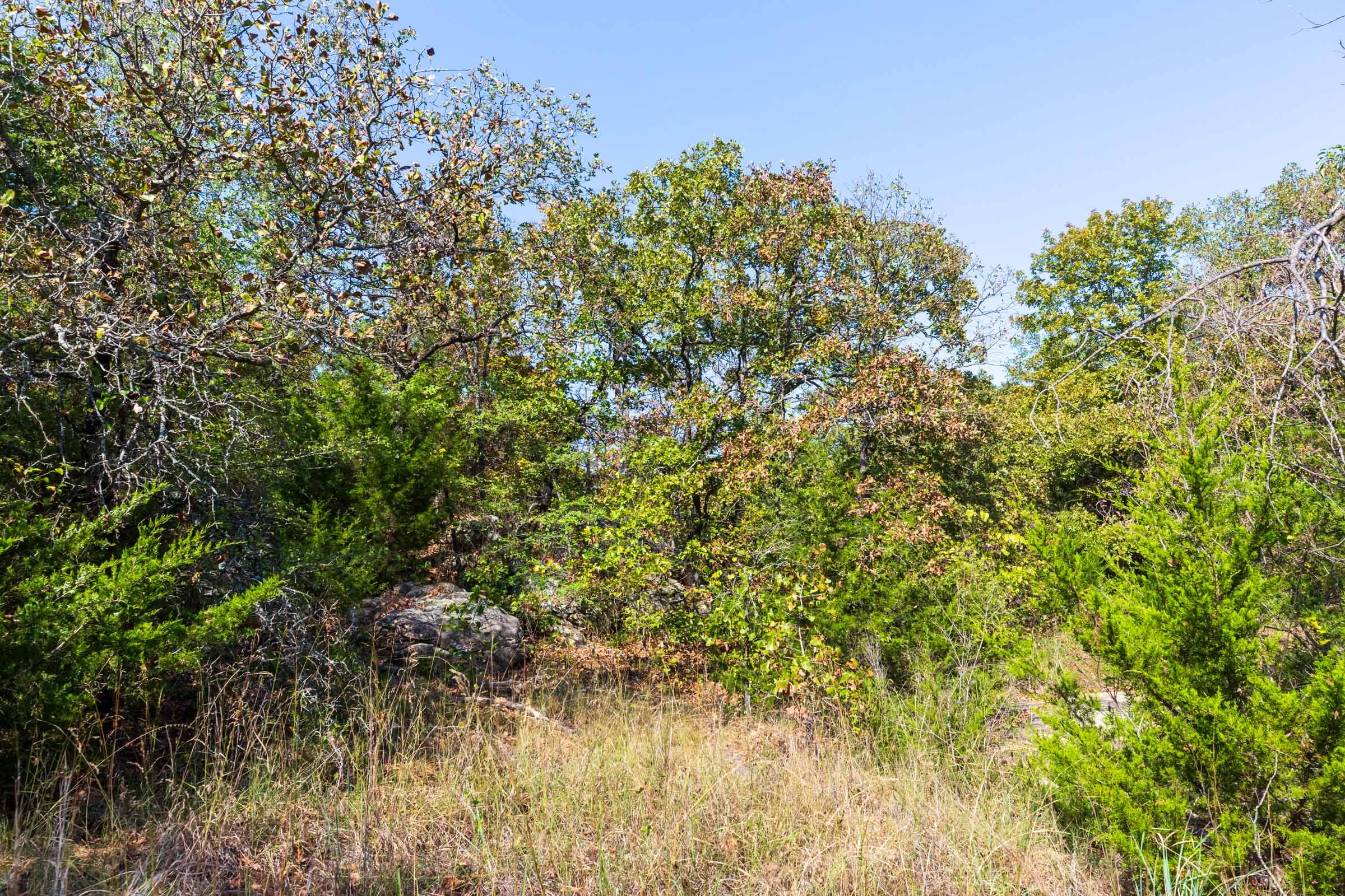 Canyon Creek Tract 24 photo 10