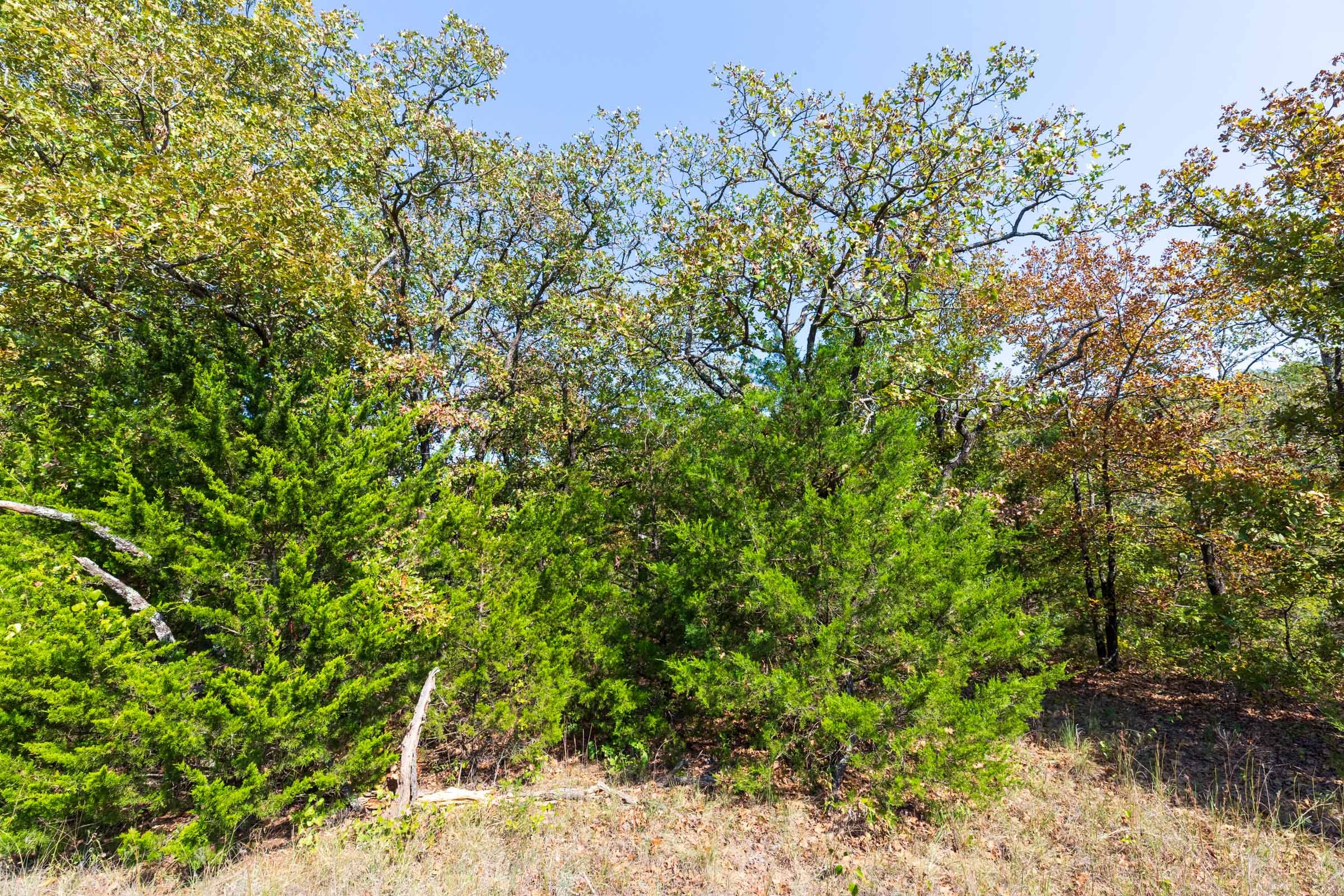 Canyon Creek Tract 24 photo 9