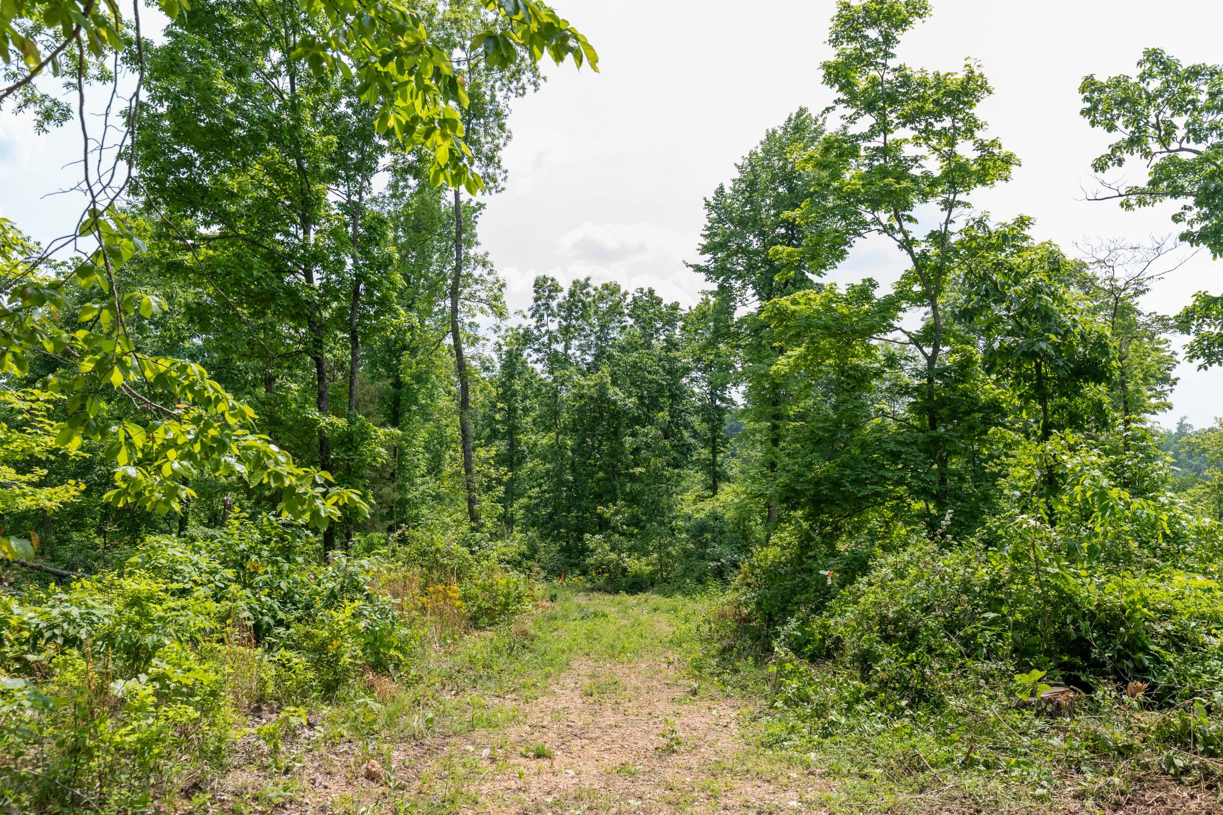 Cedar Creek Tract 22 photo 1
