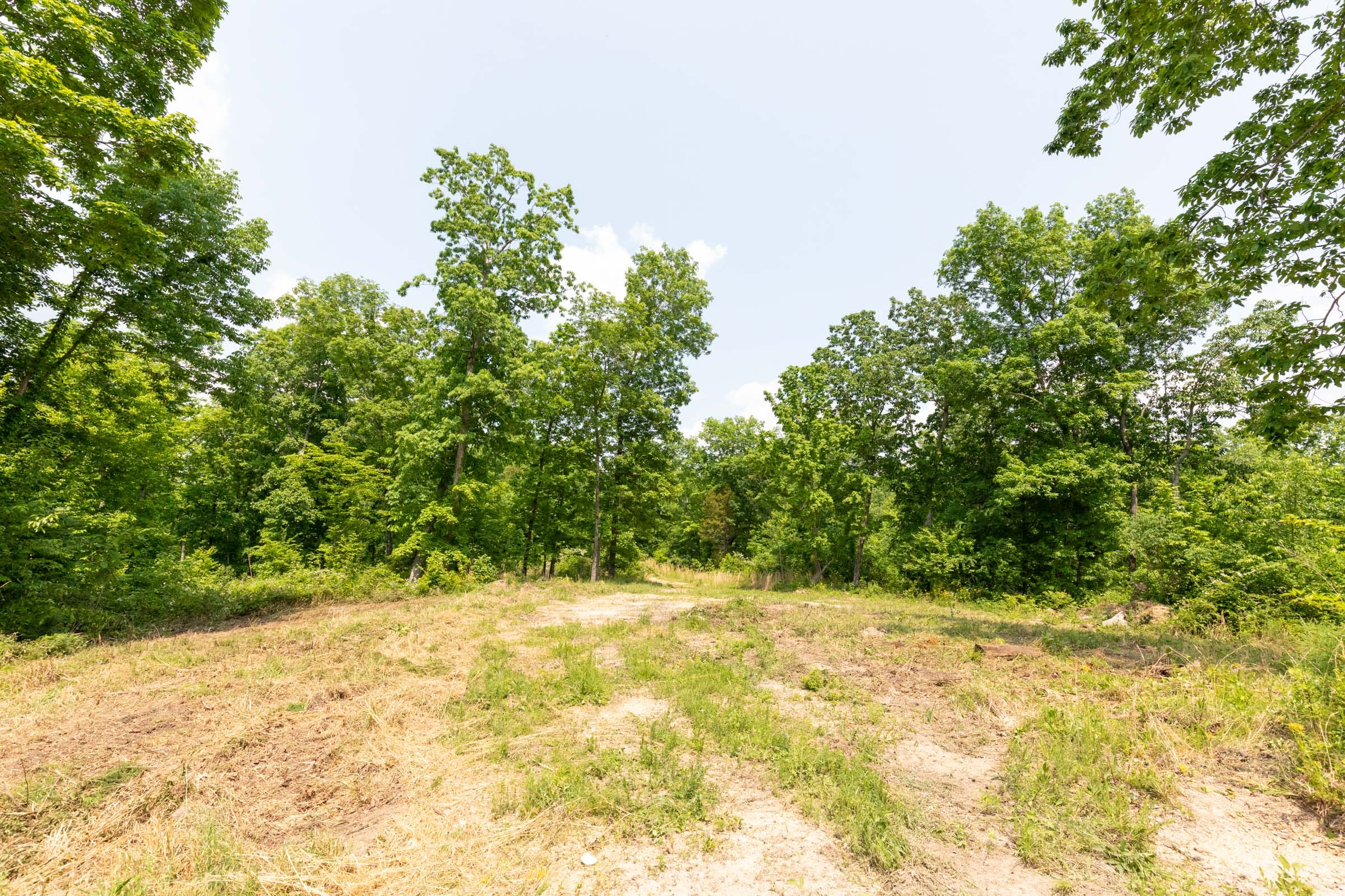 Cedar Creek Tract 22 photo 6