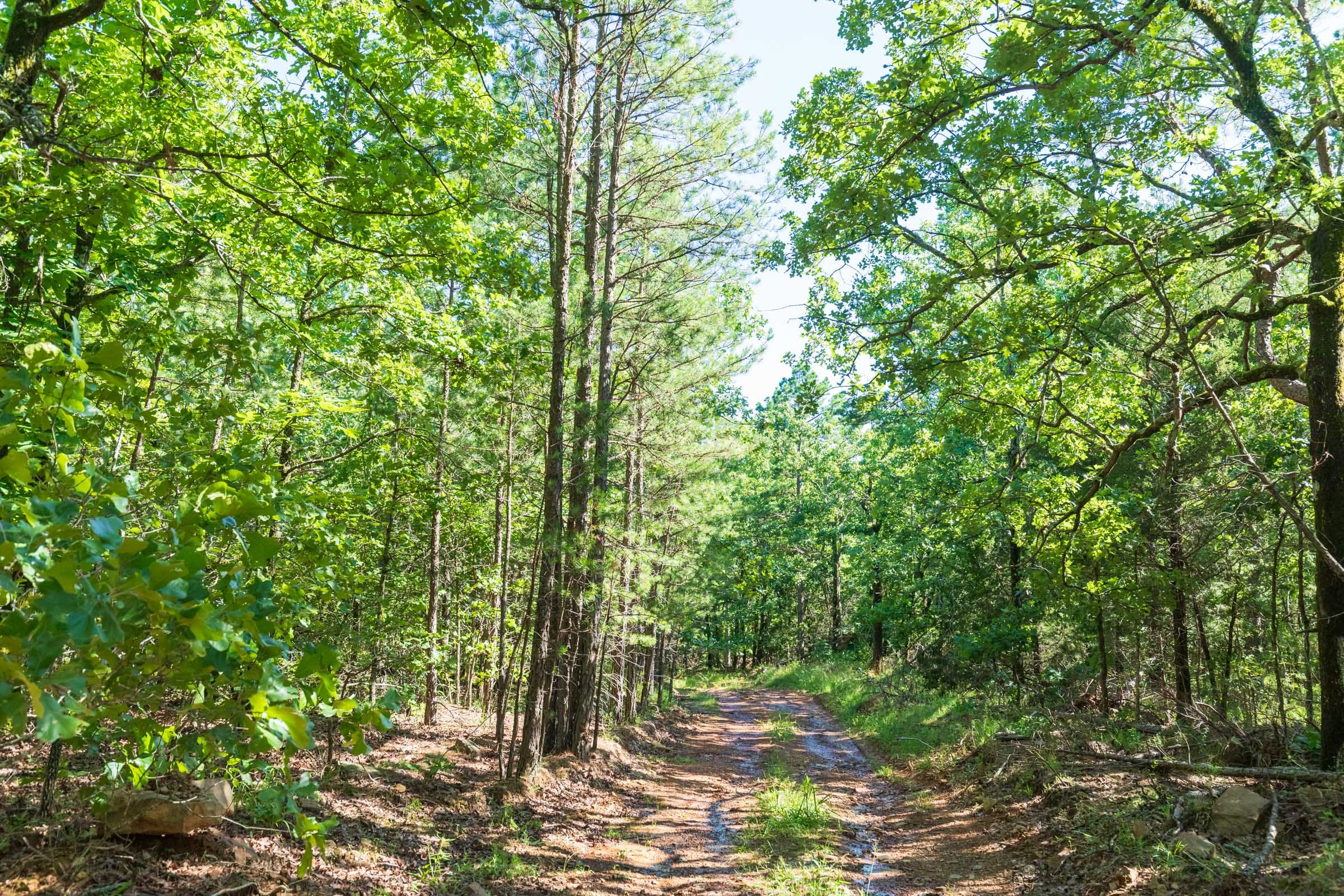 Stone Bridge Phase VI Tract 445 photo 6