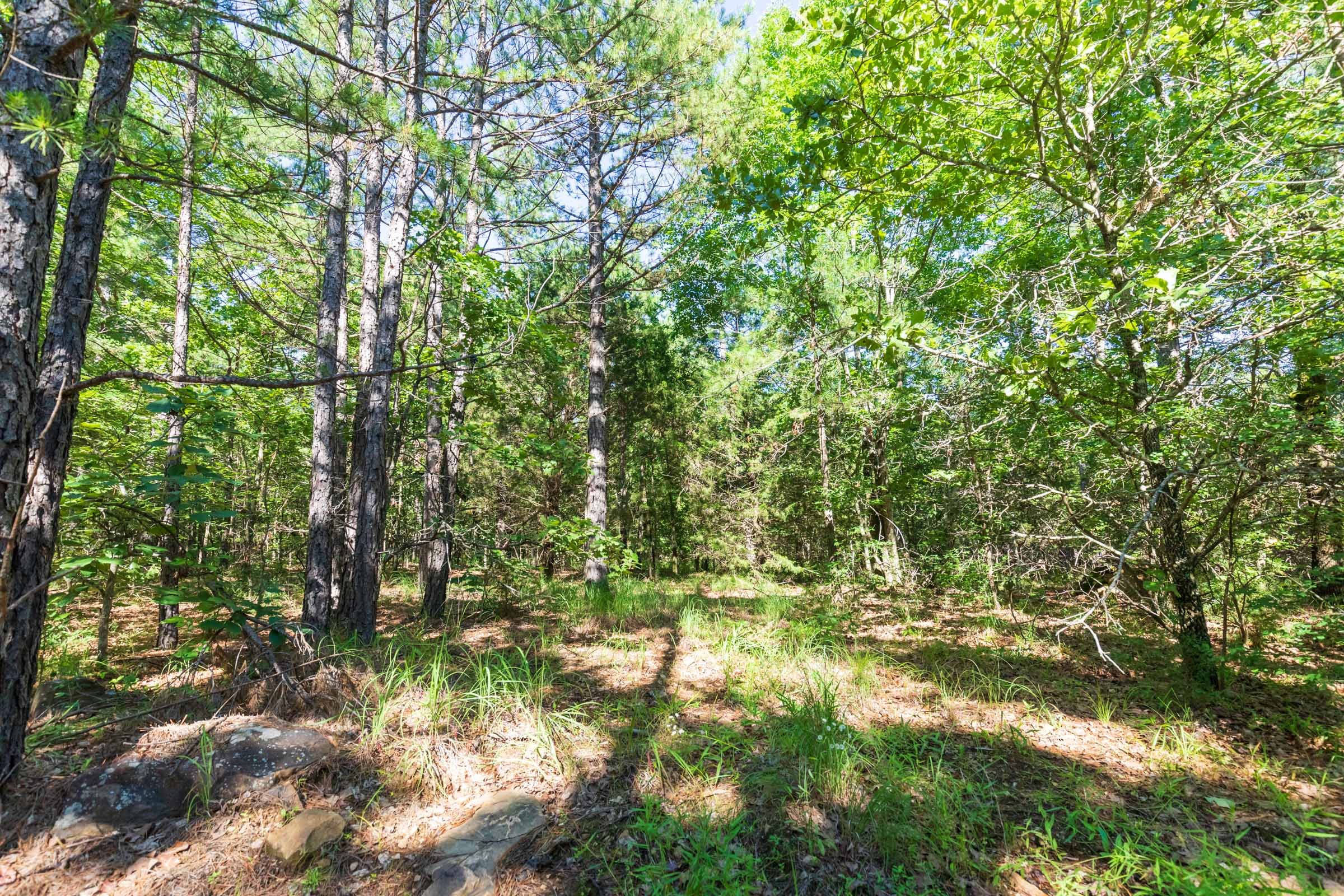 Stone Bridge Phase VI Tract 445 photo 8