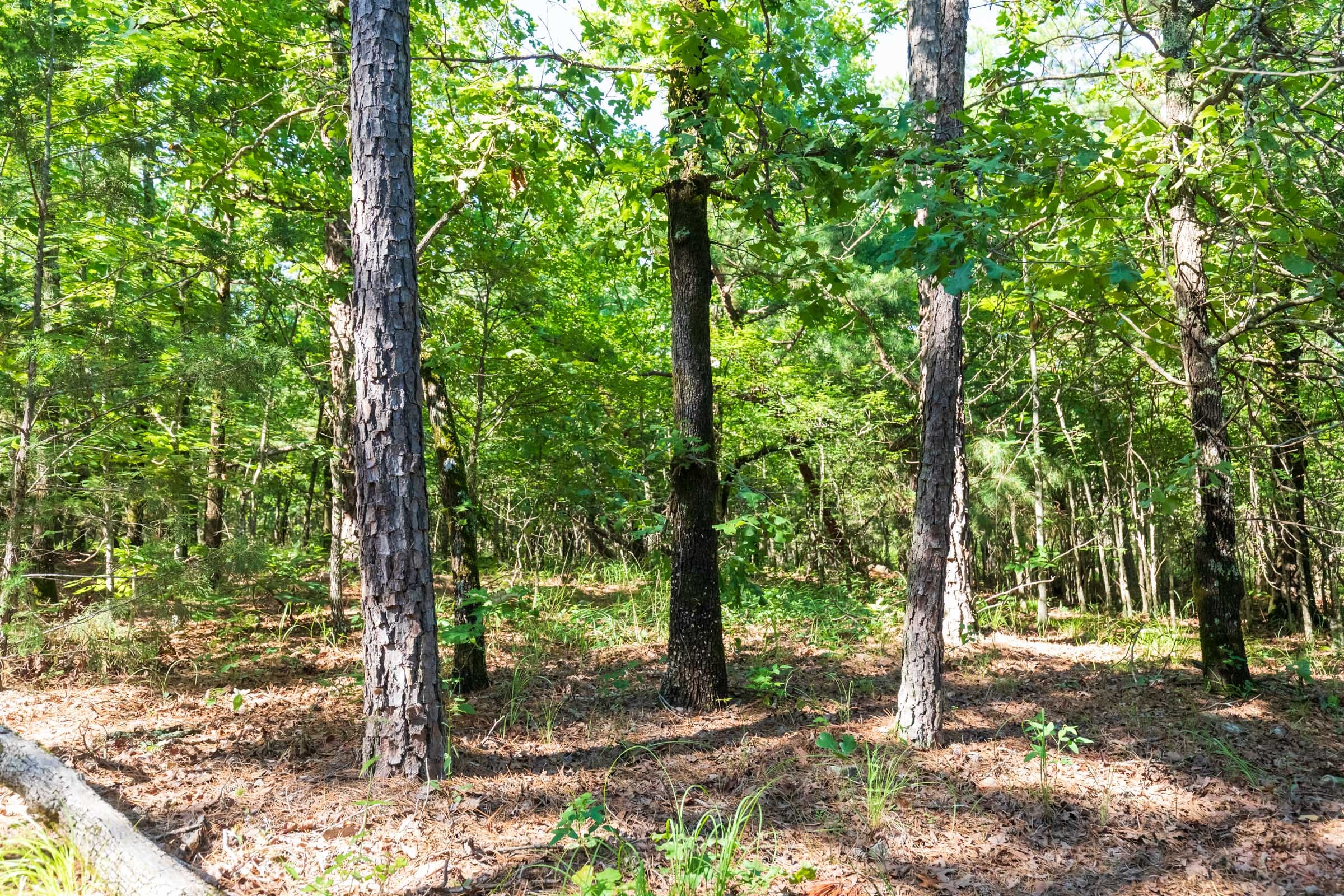 Stone Bridge Phase VI Tract 445 photo 12