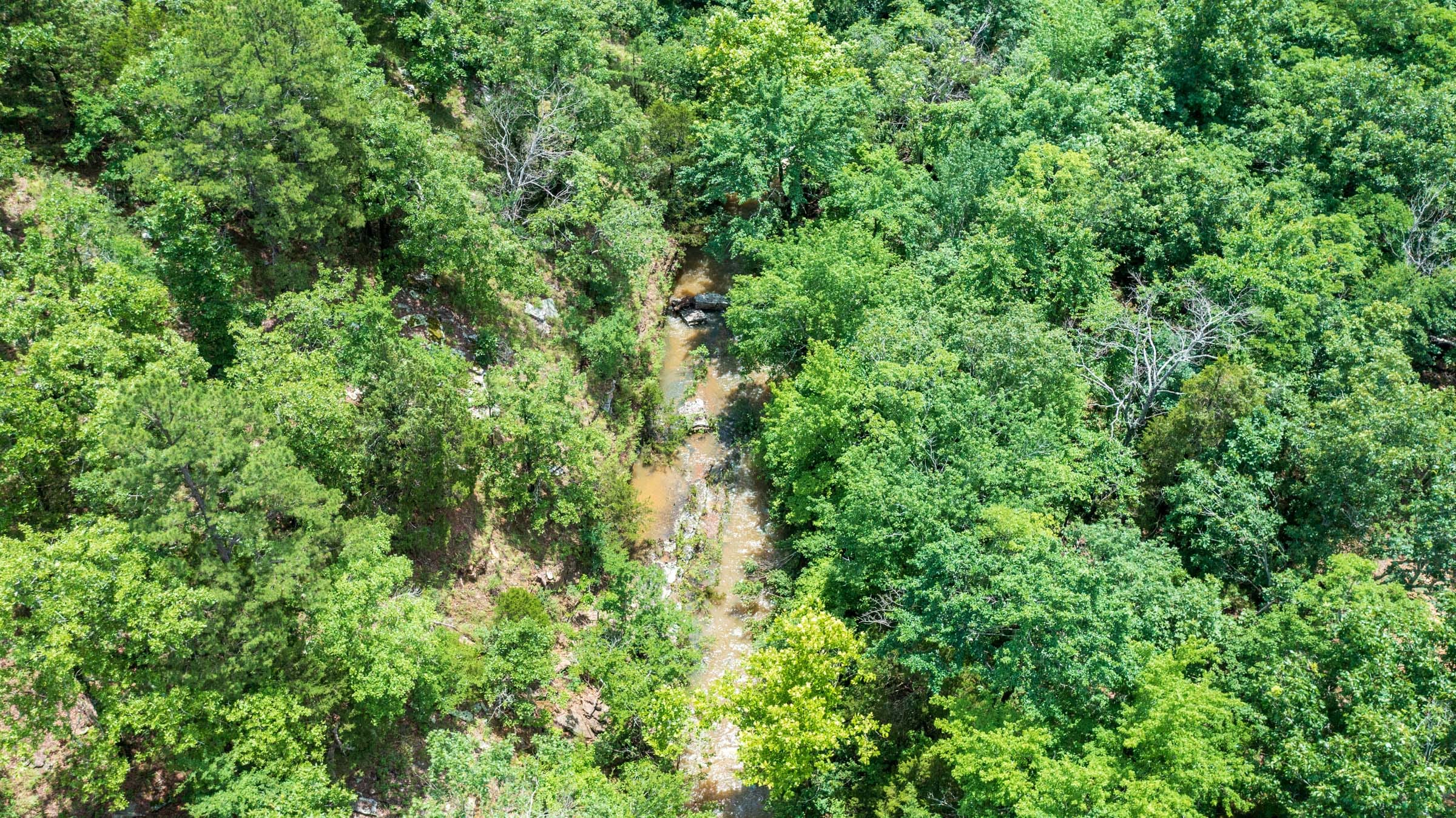 Stone Bridge Phase VI Tract 445 photo 13