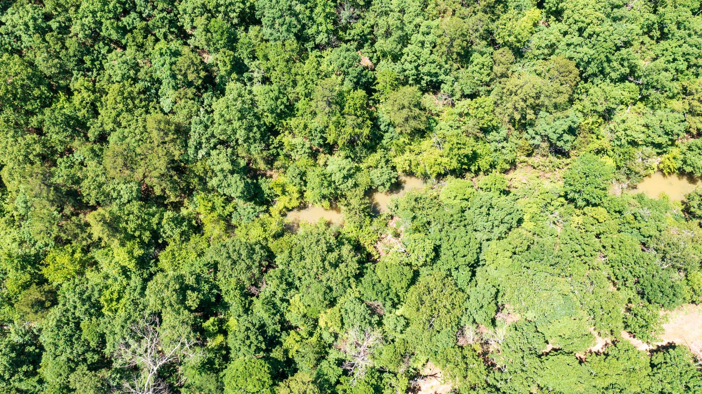 Stone Bridge Phase VI Tract 445 photo 11