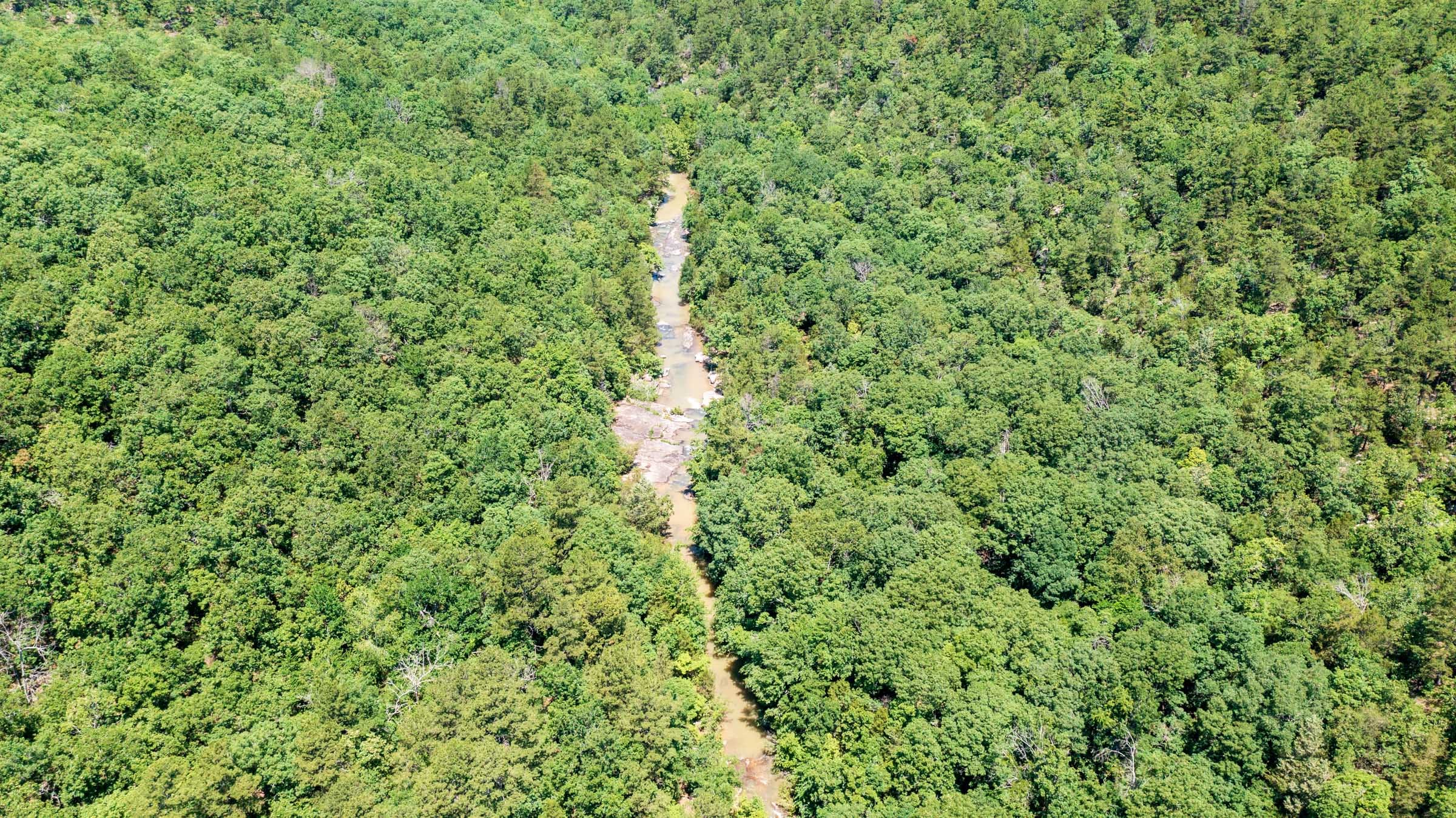 Stone Bridge Phase VI Tract 445 photo 15