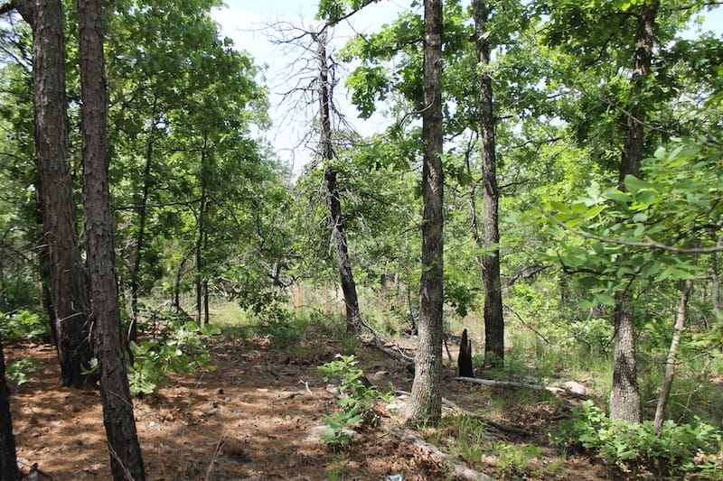 Indian Ridge – Phase II Tract 26 photo 3