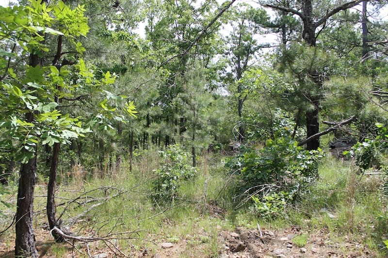 Indian Ridge – Phase II Tract 26 photo 4