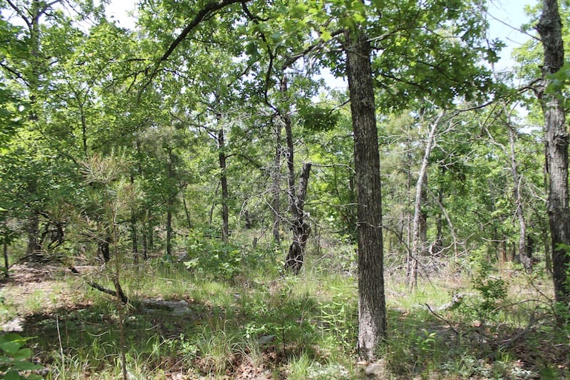Indian Ridge – Phase II Tract 26 photo 5