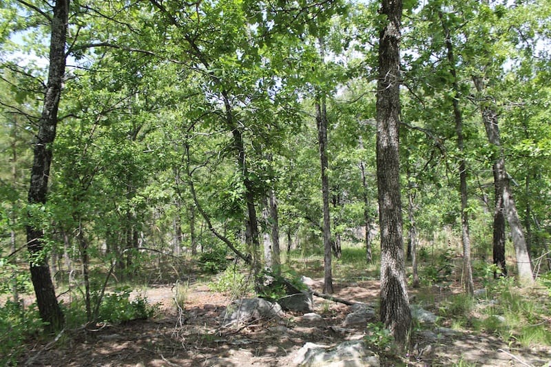 Indian Ridge – Phase II Tract 26 photo 6