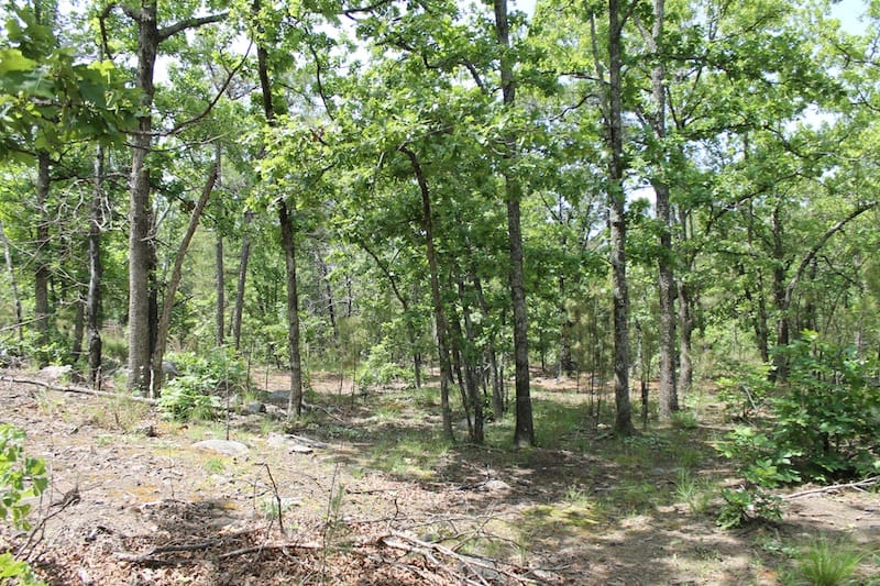 Indian Ridge – Phase II Tract 26 photo 7