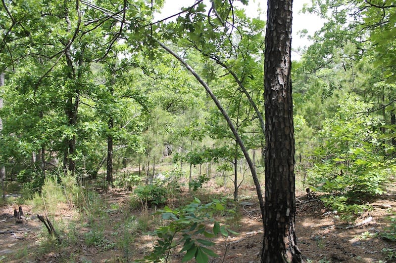 Indian Ridge – Phase II Tract 26 photo 8