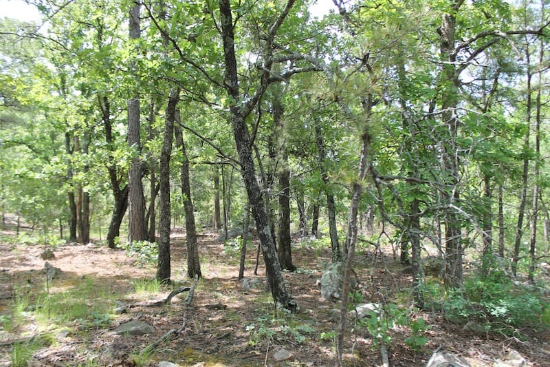 Indian Ridge – Phase II Tract 26 photo 9
