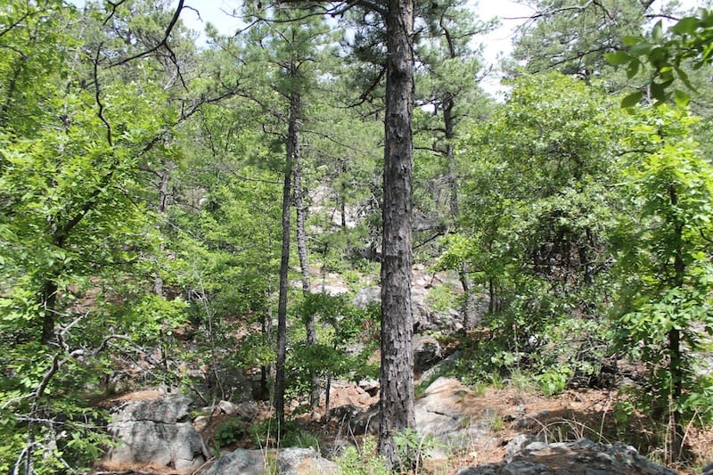 Indian Ridge – Phase II Tract 26 photo 10