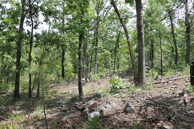Indian Ridge – Phase II Tract 26 photo 13