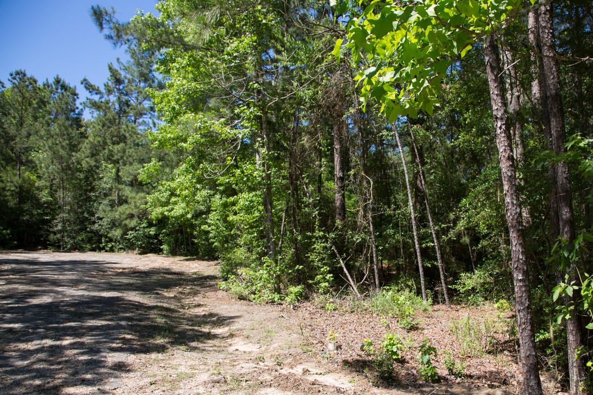 Rayburn Country Tract 272 photo 6