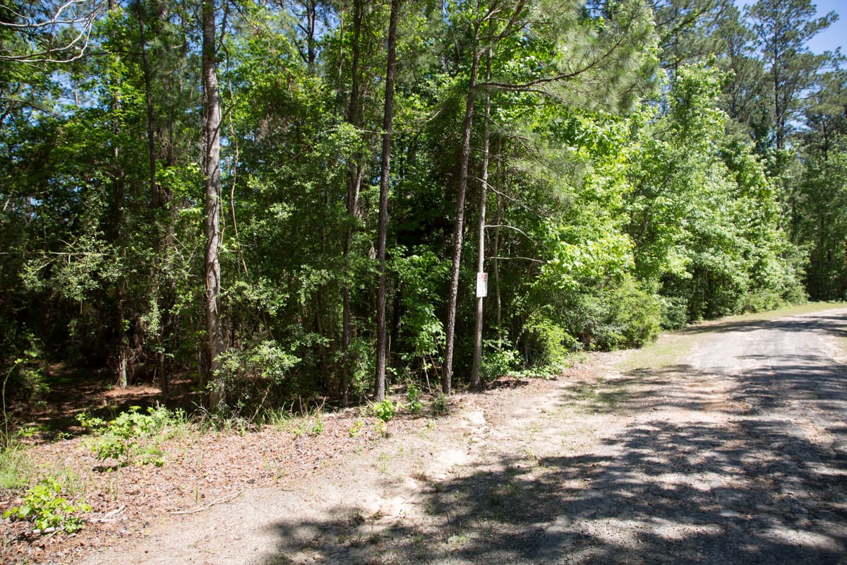 Rayburn Country Tract 272 photo 2