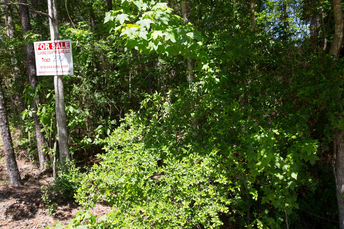 Rayburn Country Tract 272 photo 10