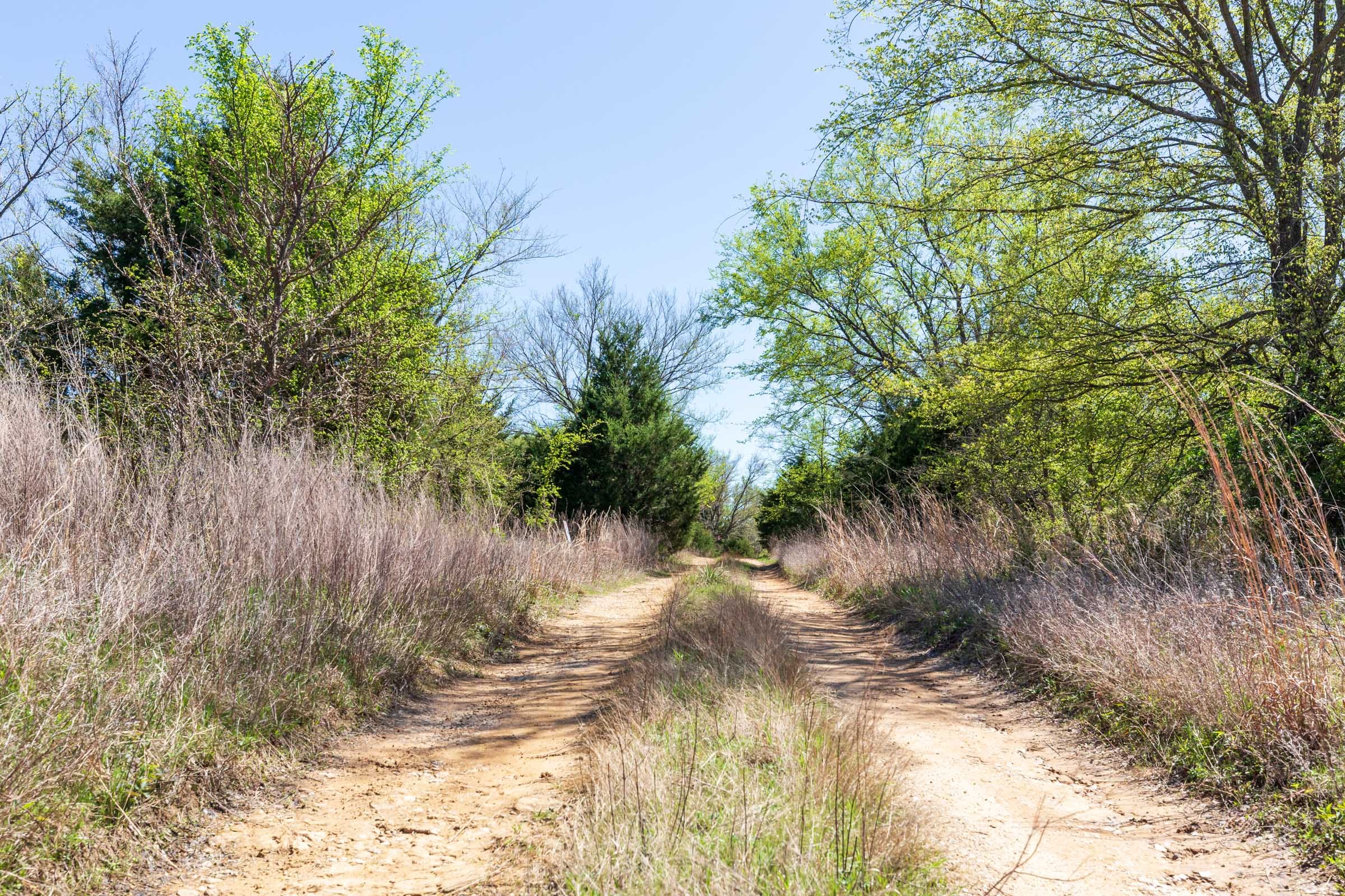 Prairie Grove Tract 11 photo 2