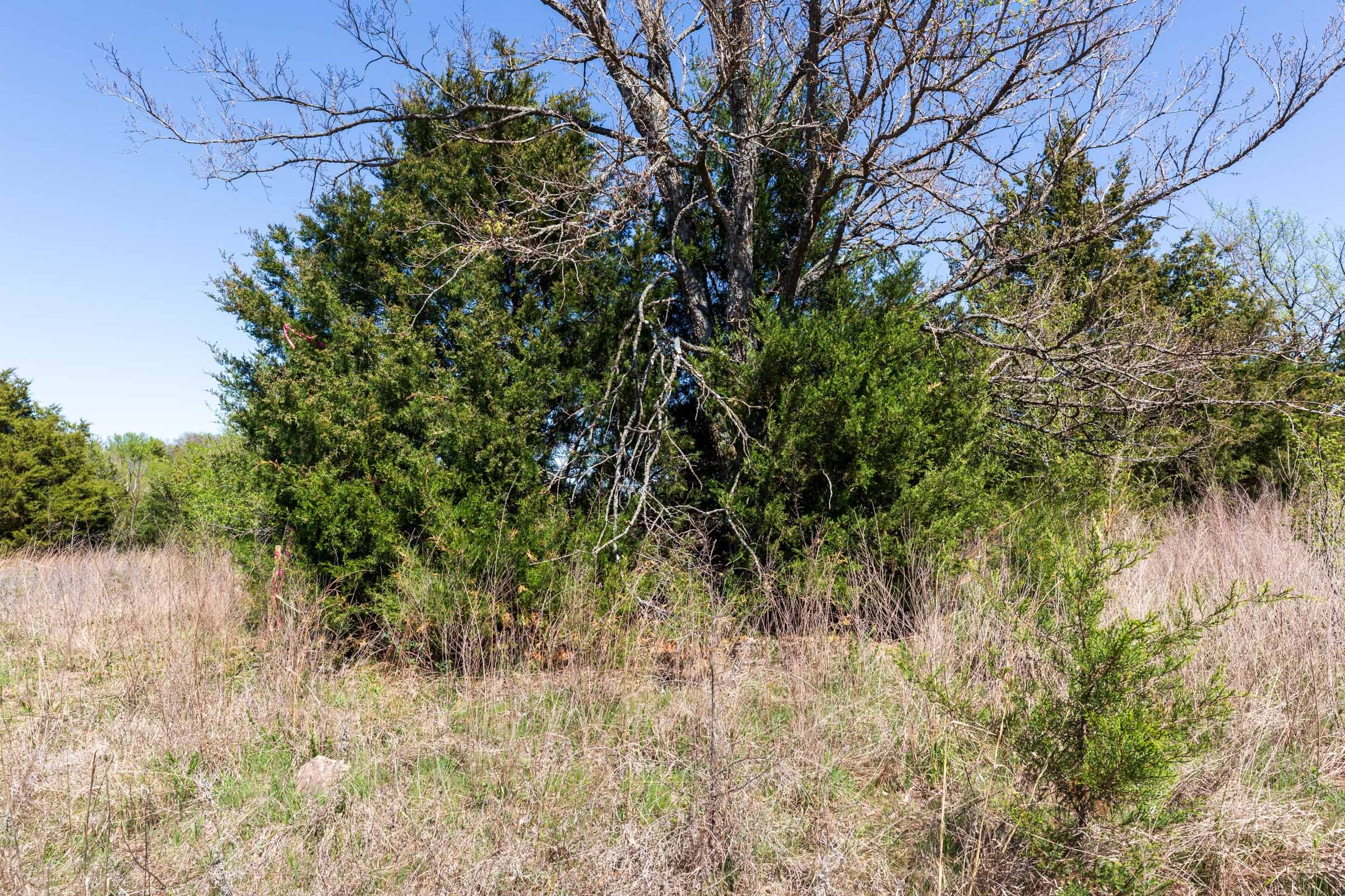 Prairie Grove Tract 11 photo 3