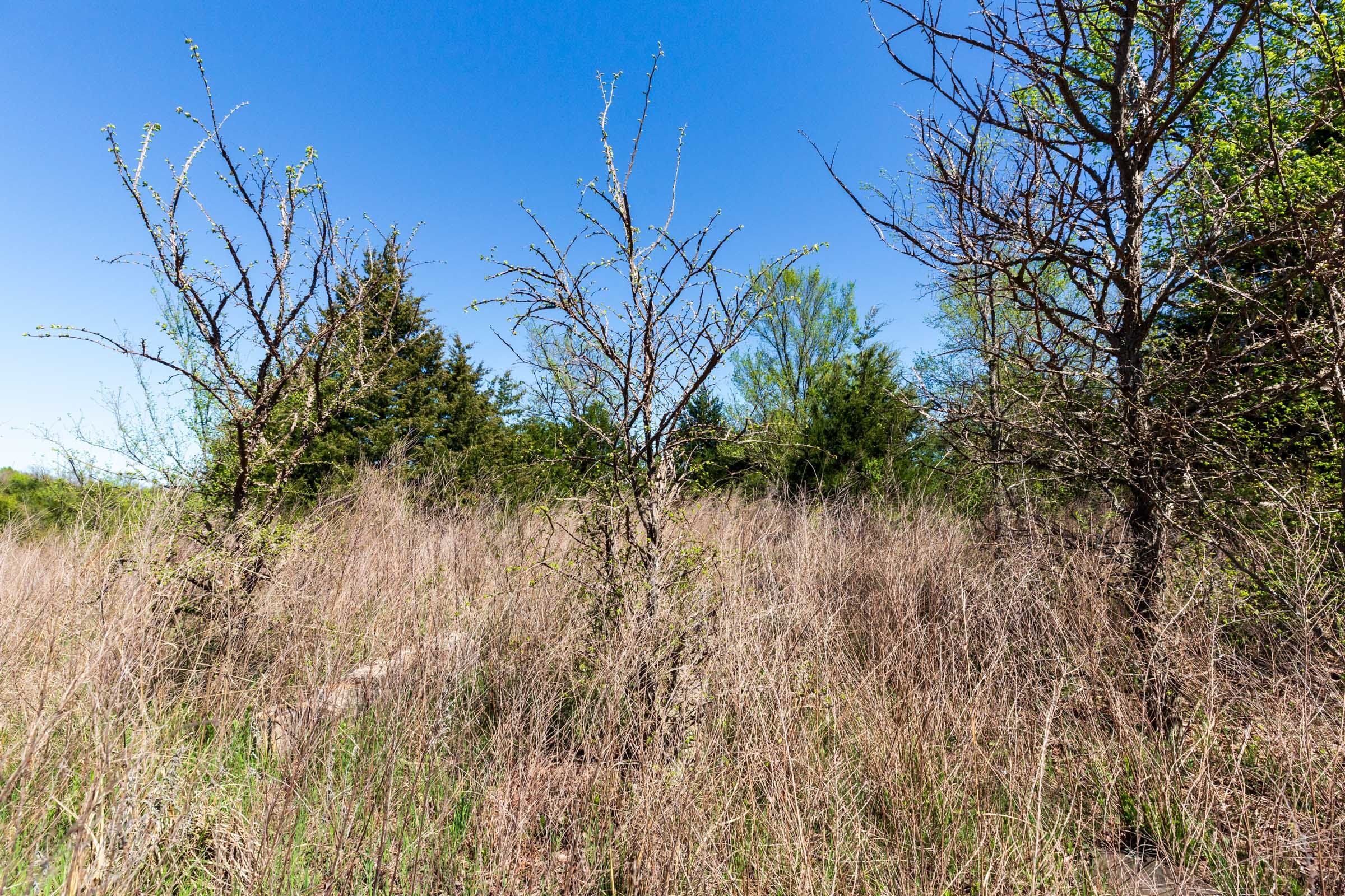 Prairie Grove Tract 11 photo 5