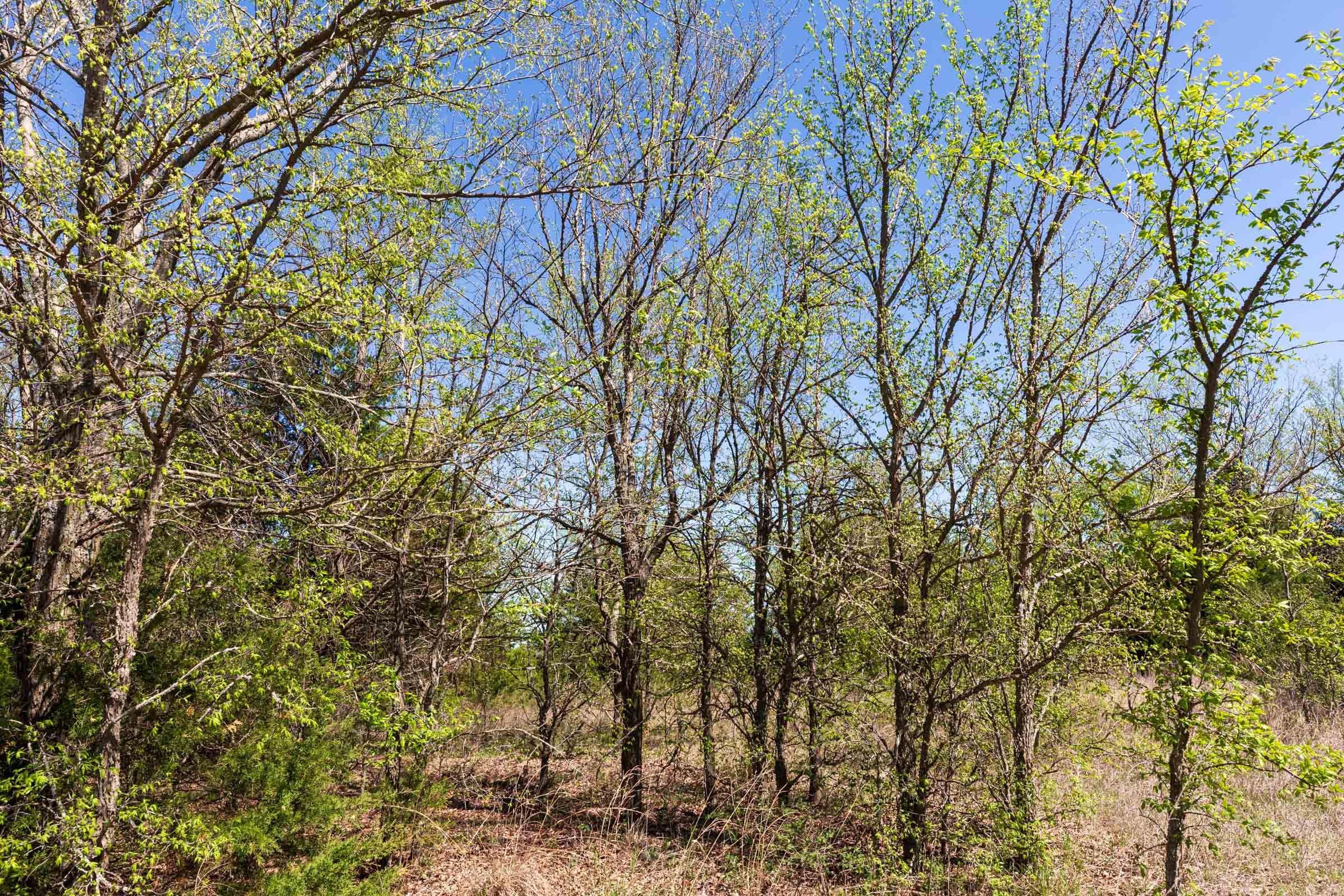 Prairie Grove Tract 11 photo 8