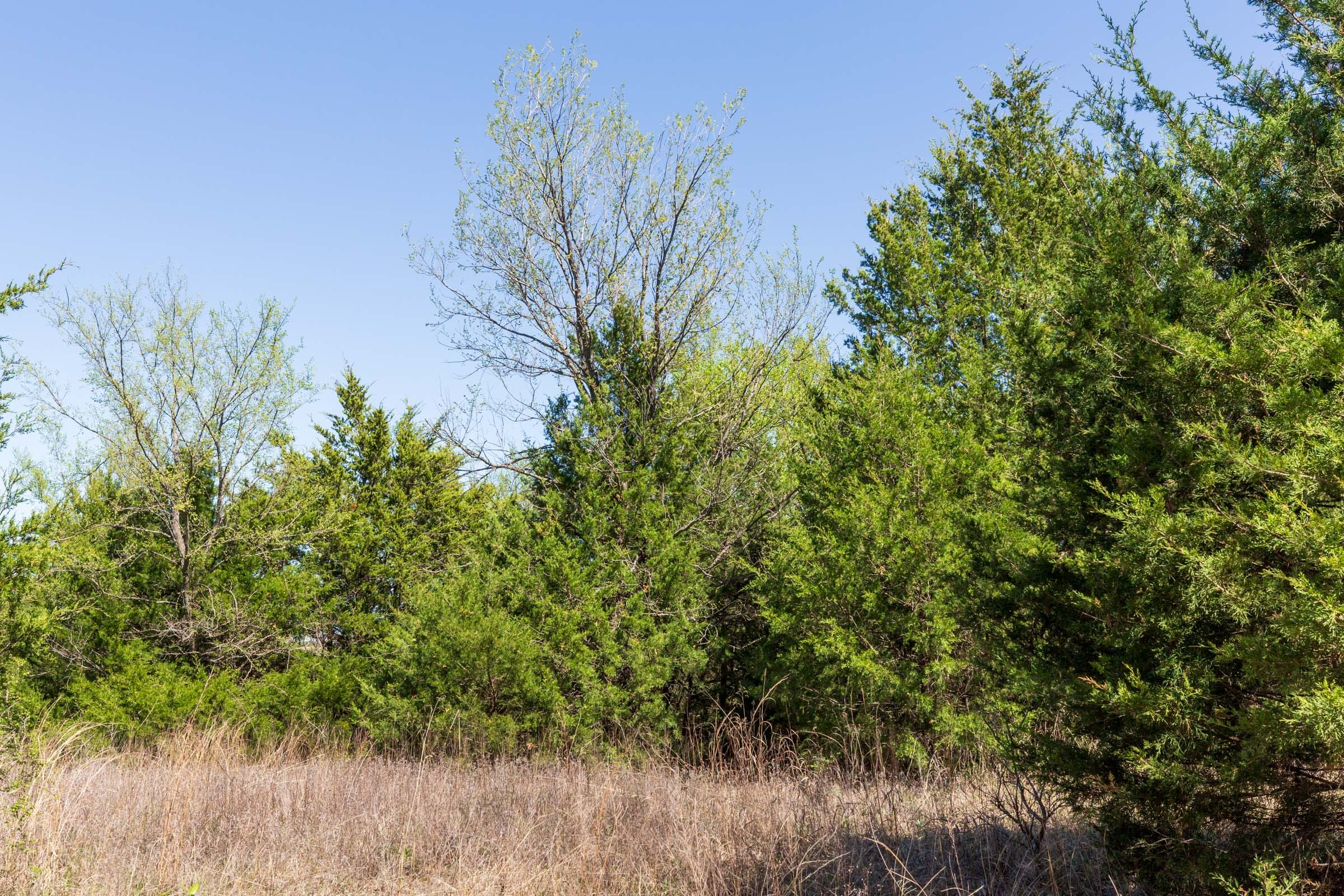 Prairie Grove Tract 11 photo 9