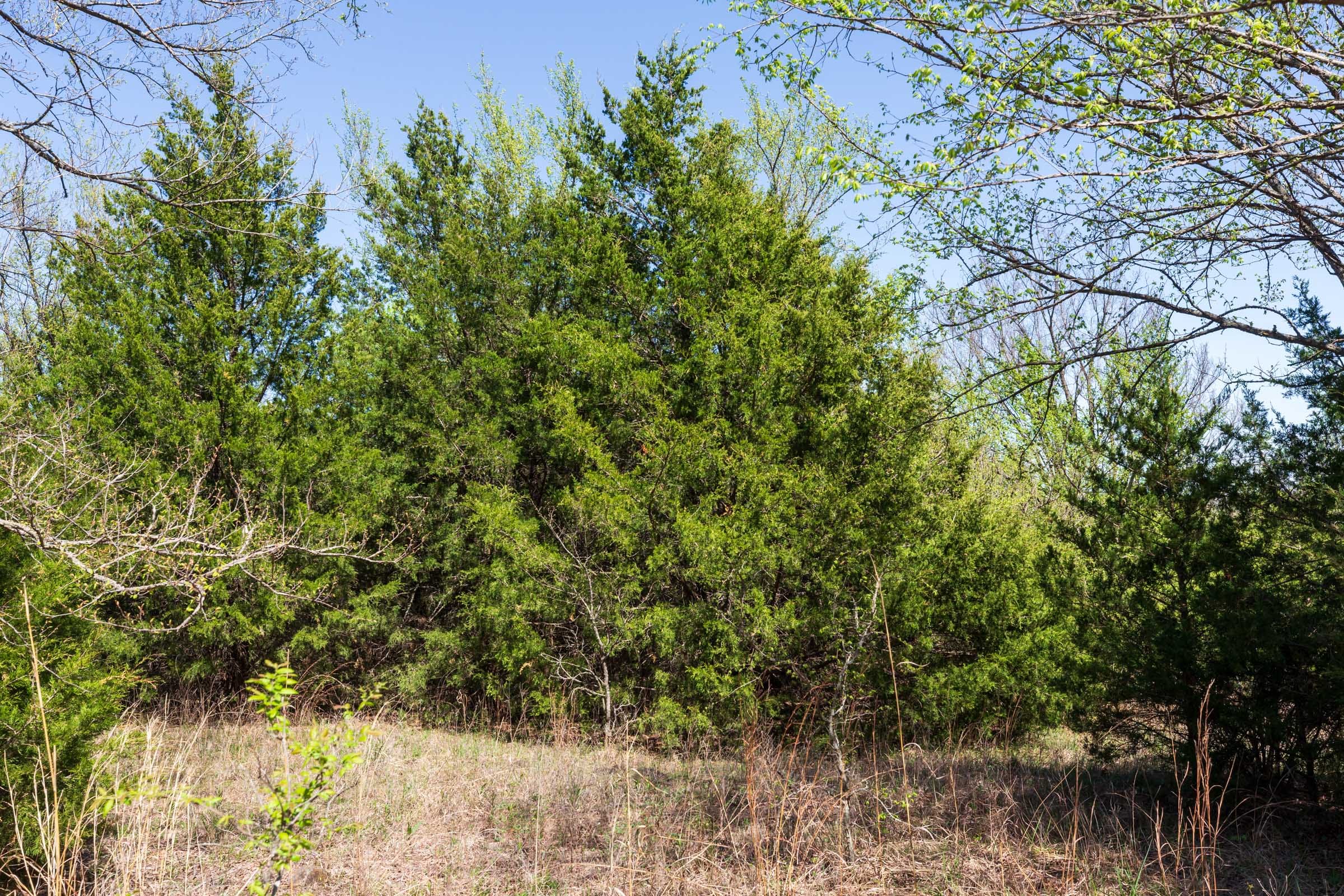 Prairie Grove Tract 11 photo 11