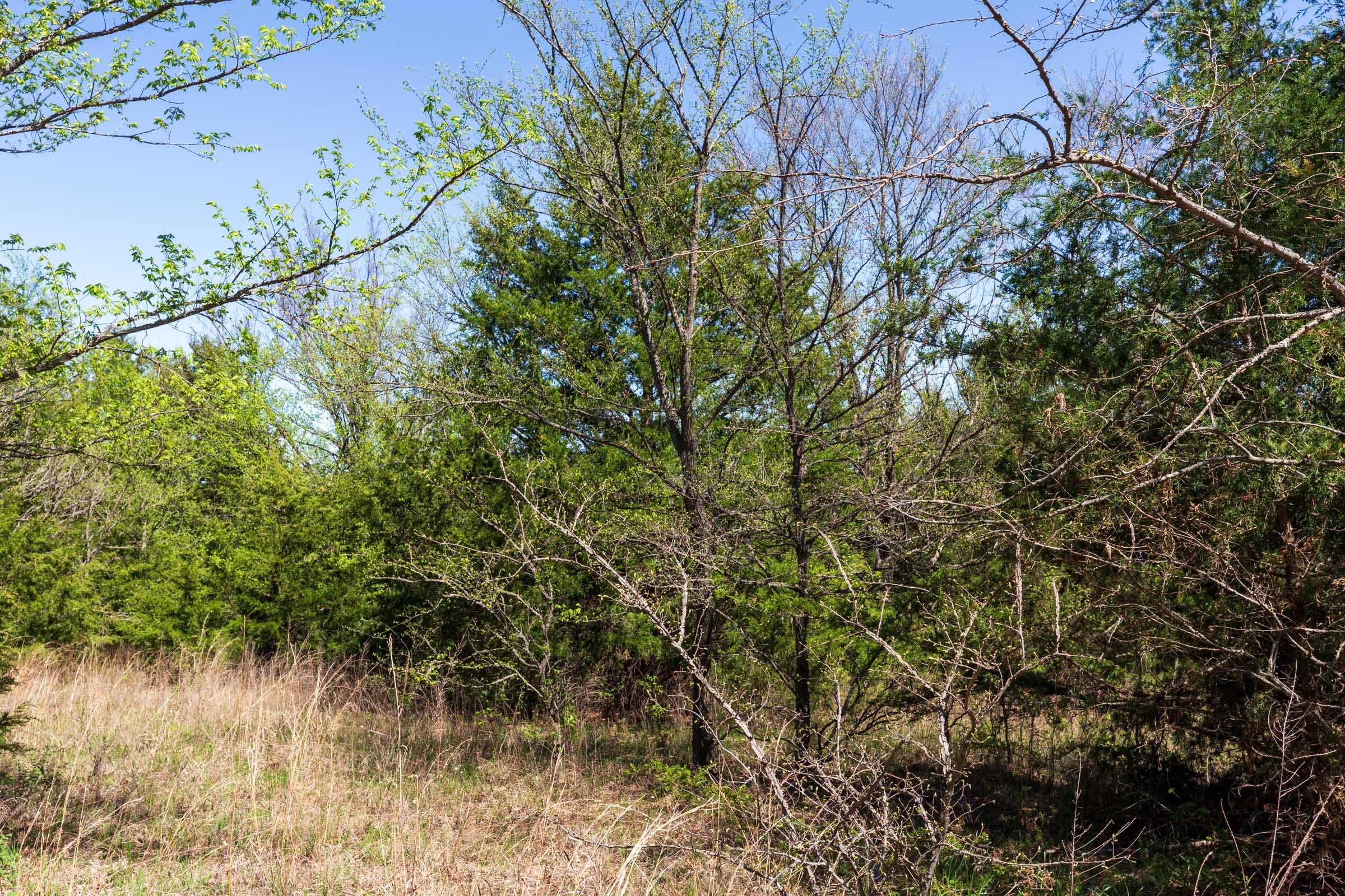 Prairie Grove Tract 11 photo 14