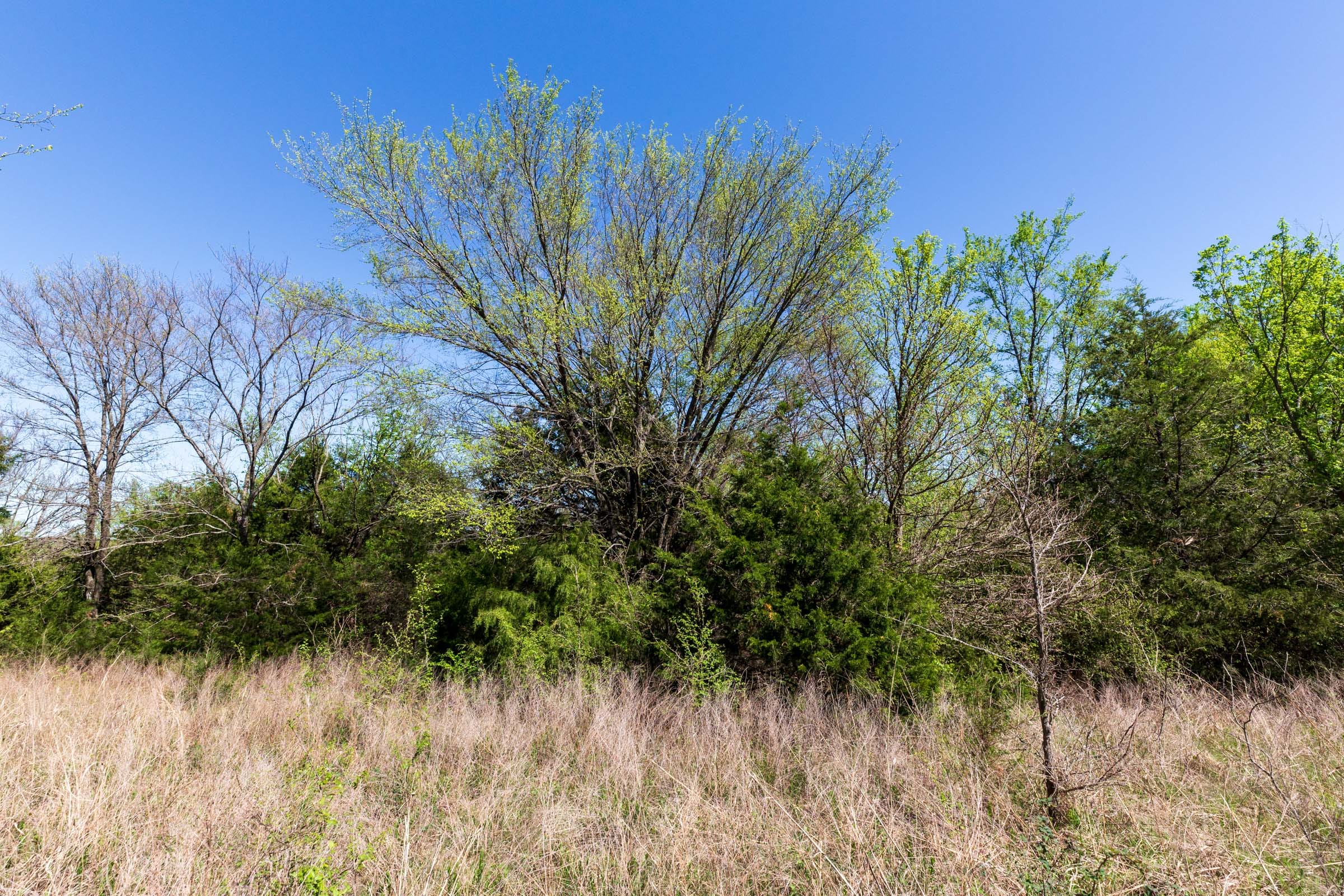 Prairie Grove Tract 11 photo 10