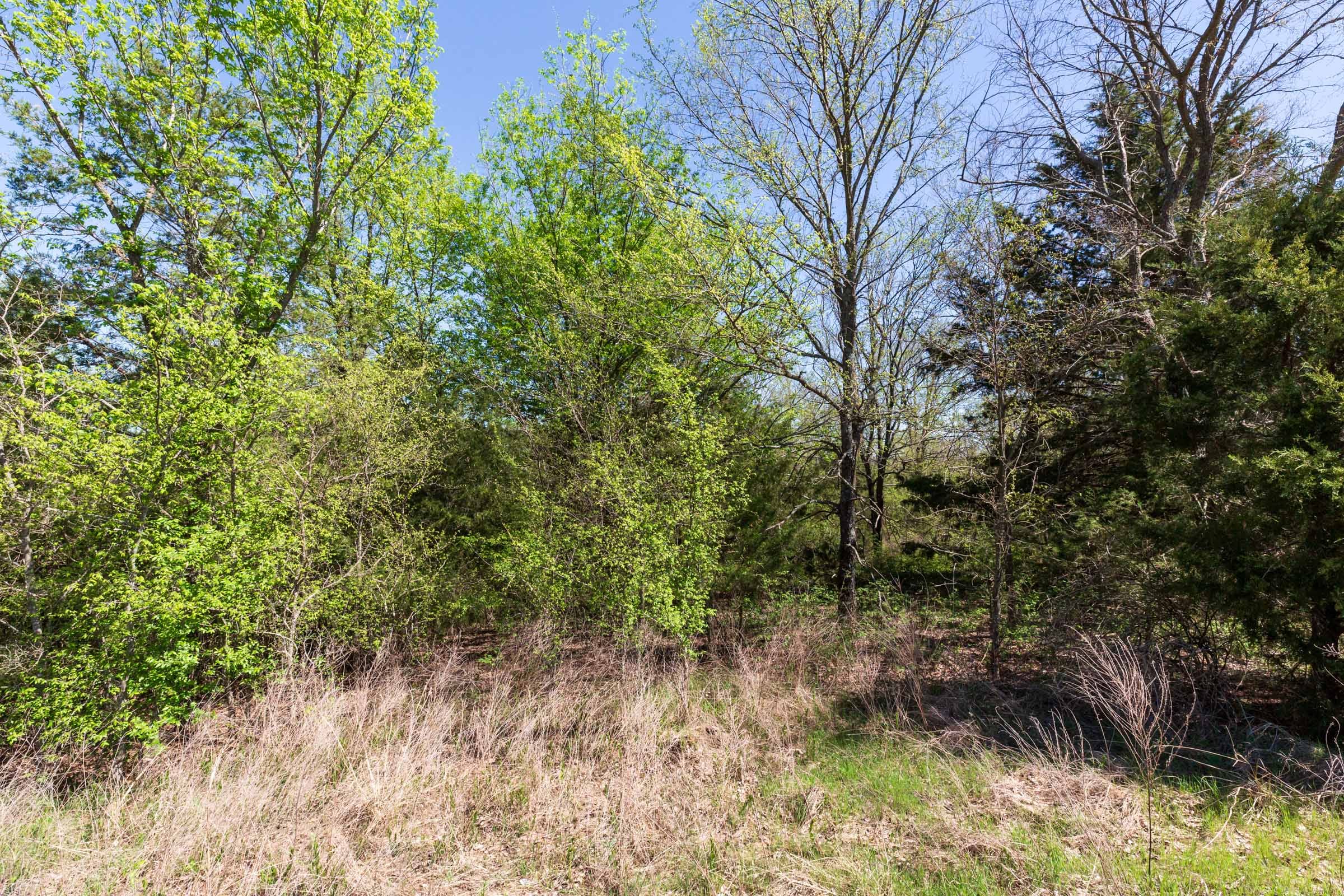 Prairie Grove Tract 11 photo 15