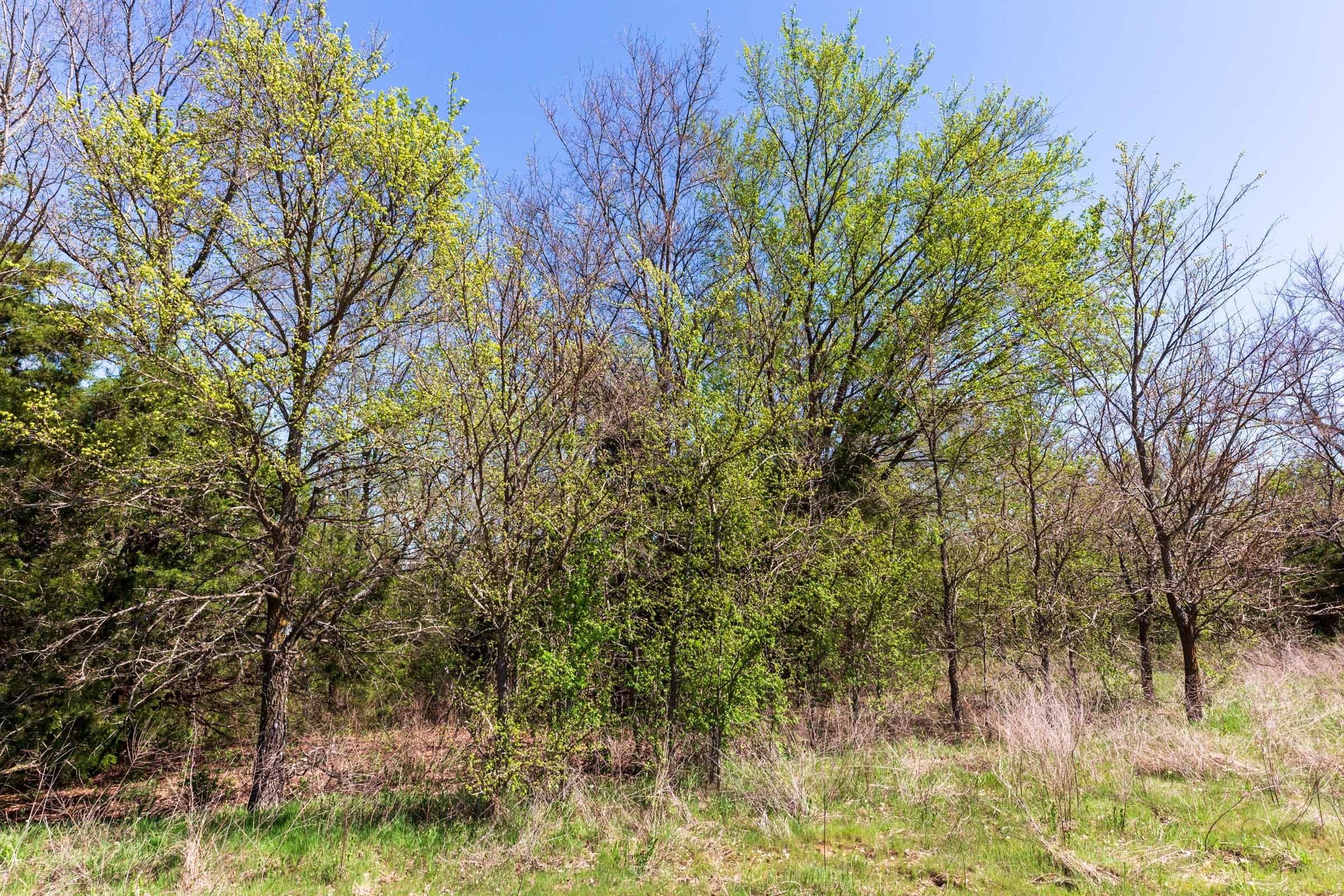 Prairie Grove Tract 11 photo 13